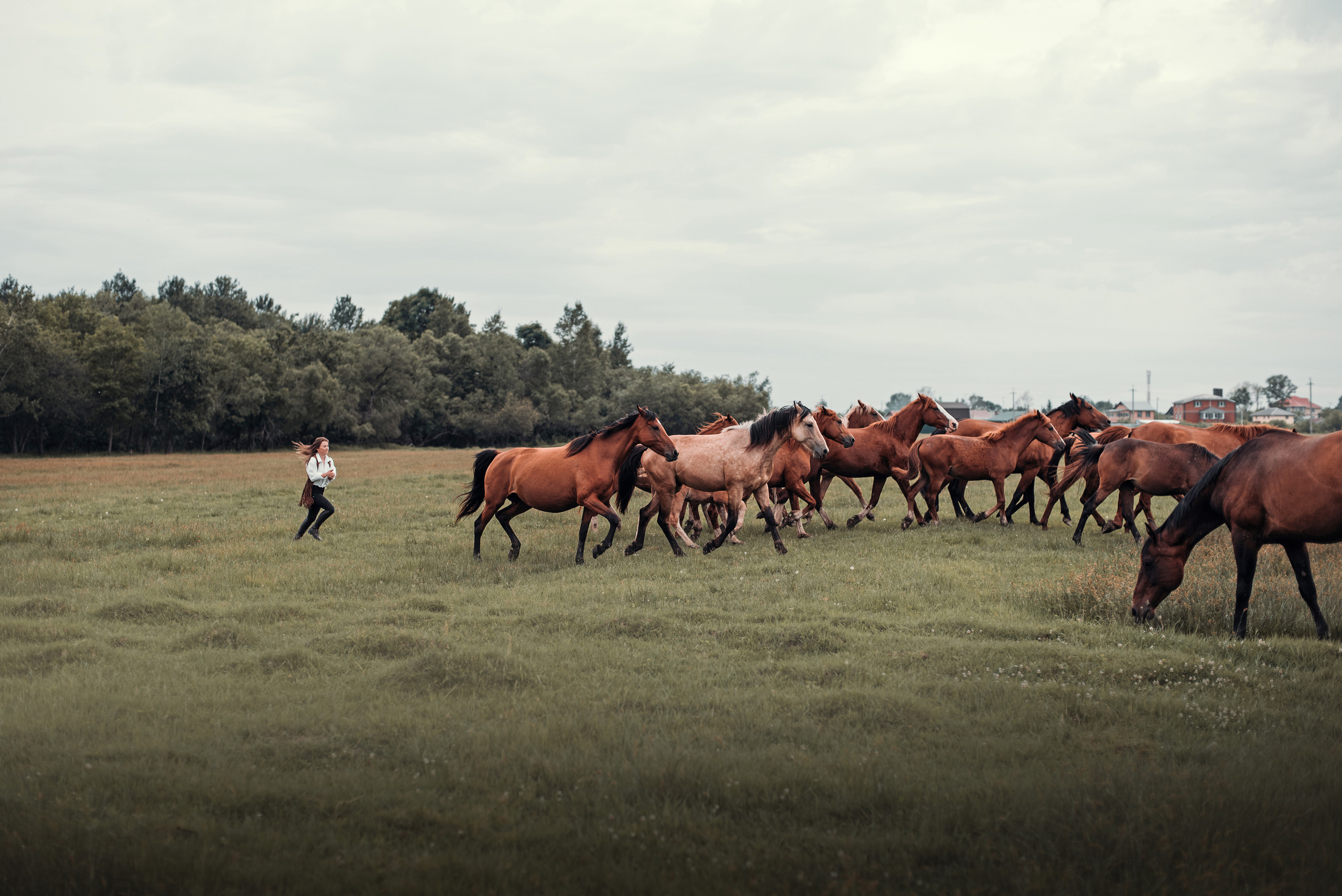 Конное: Катя и табун. Портфолио
