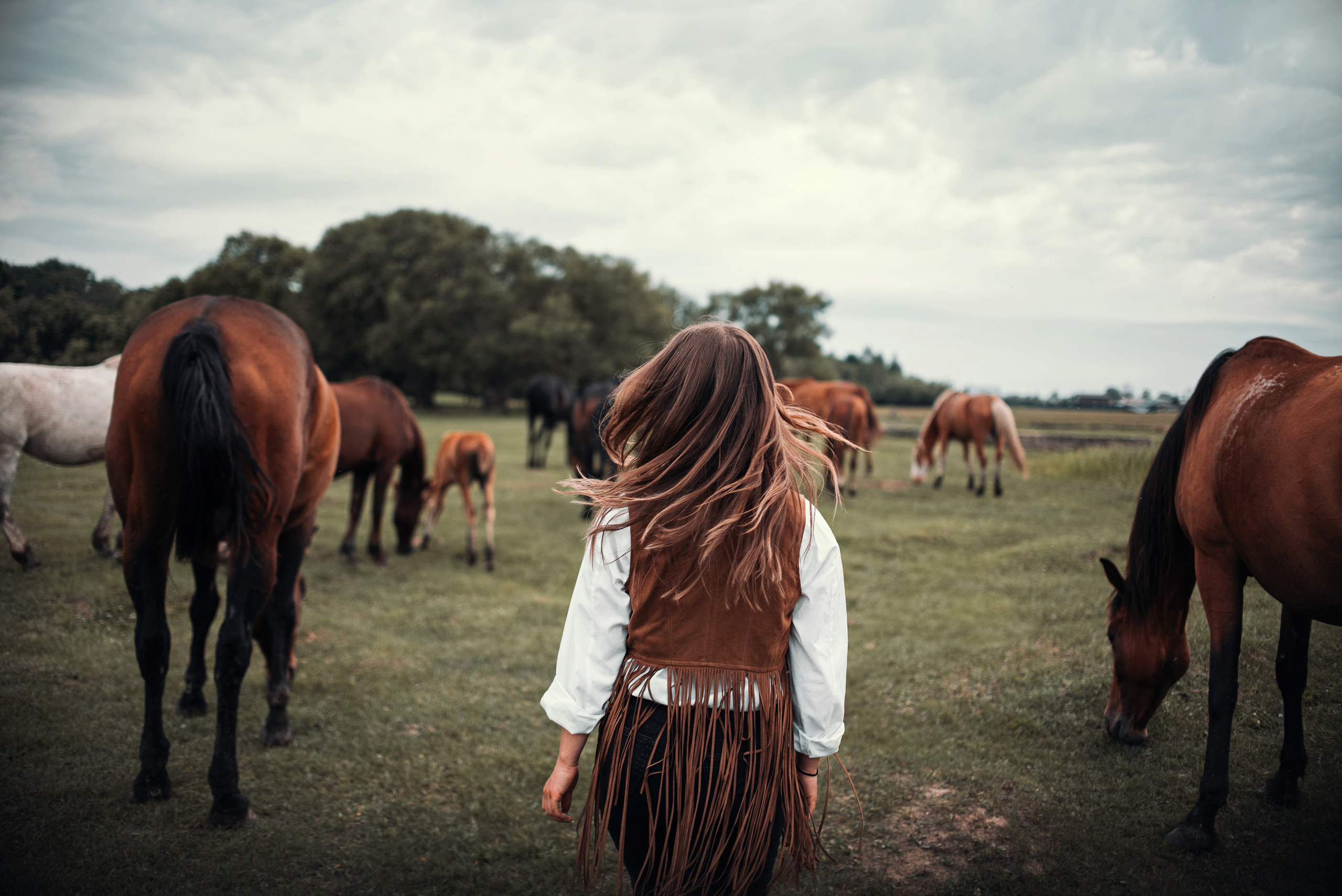 Конное: Катя и табун. Портфолио