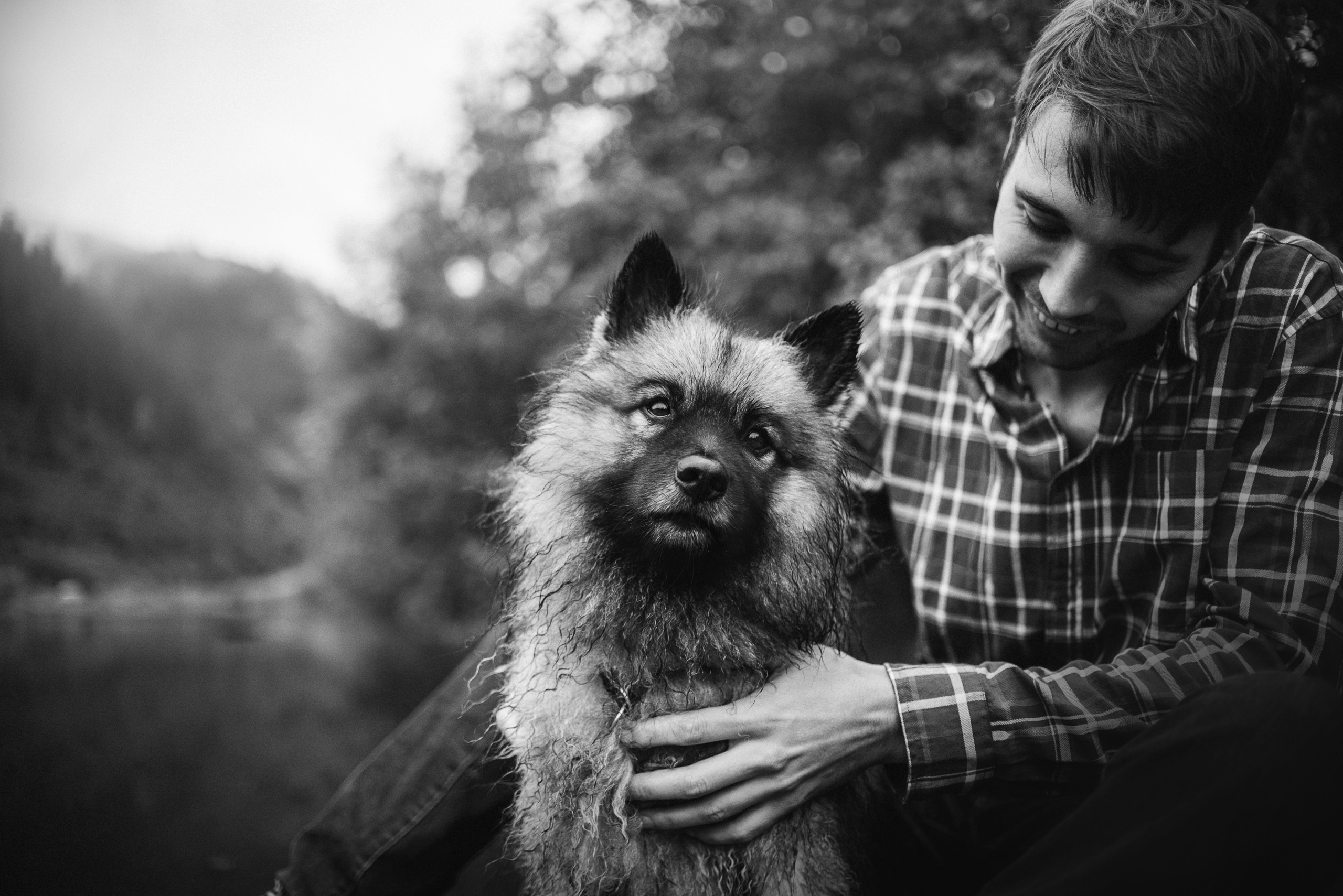 Амут: кеесхонд Верона, малинуа Бэрри, Юля и Леша. Портфолио