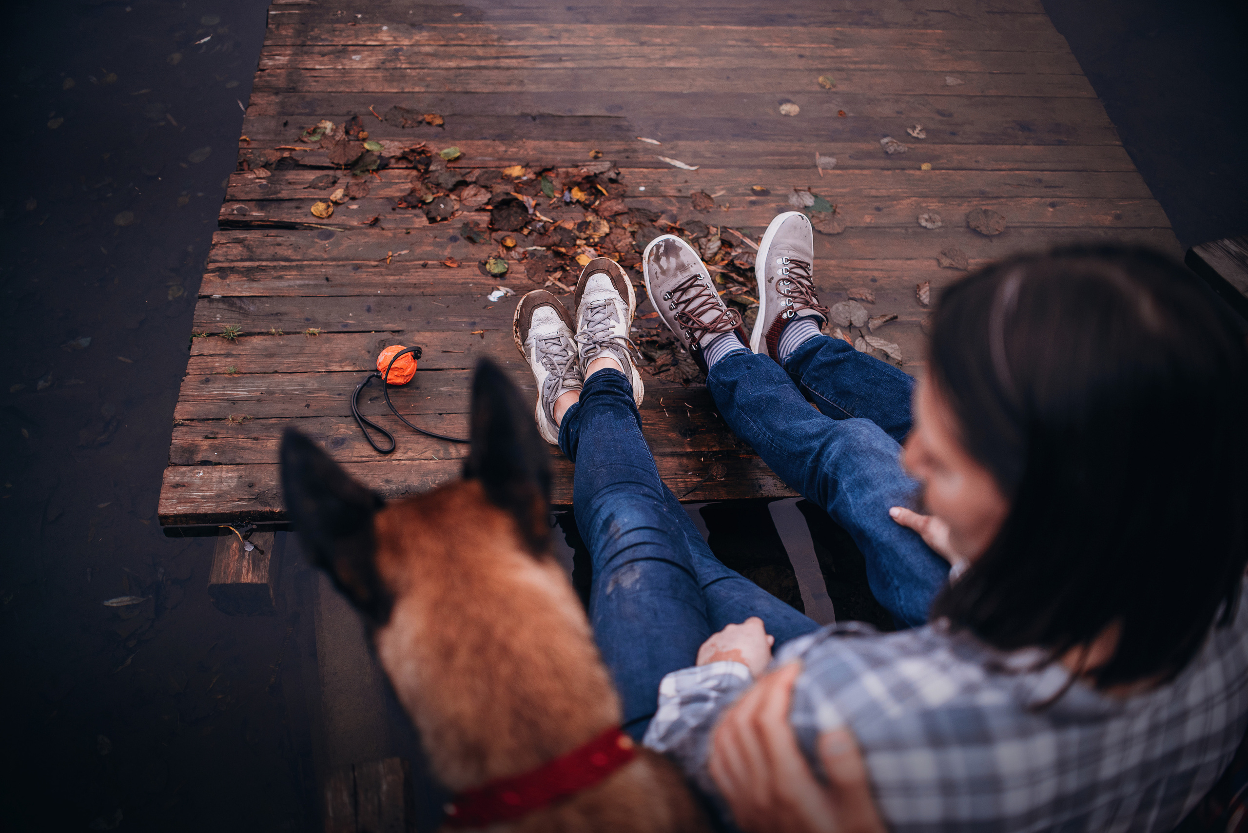 Амут: кеесхонд Верона, малинуа Бэрри, Юля и Леша. Портфолио