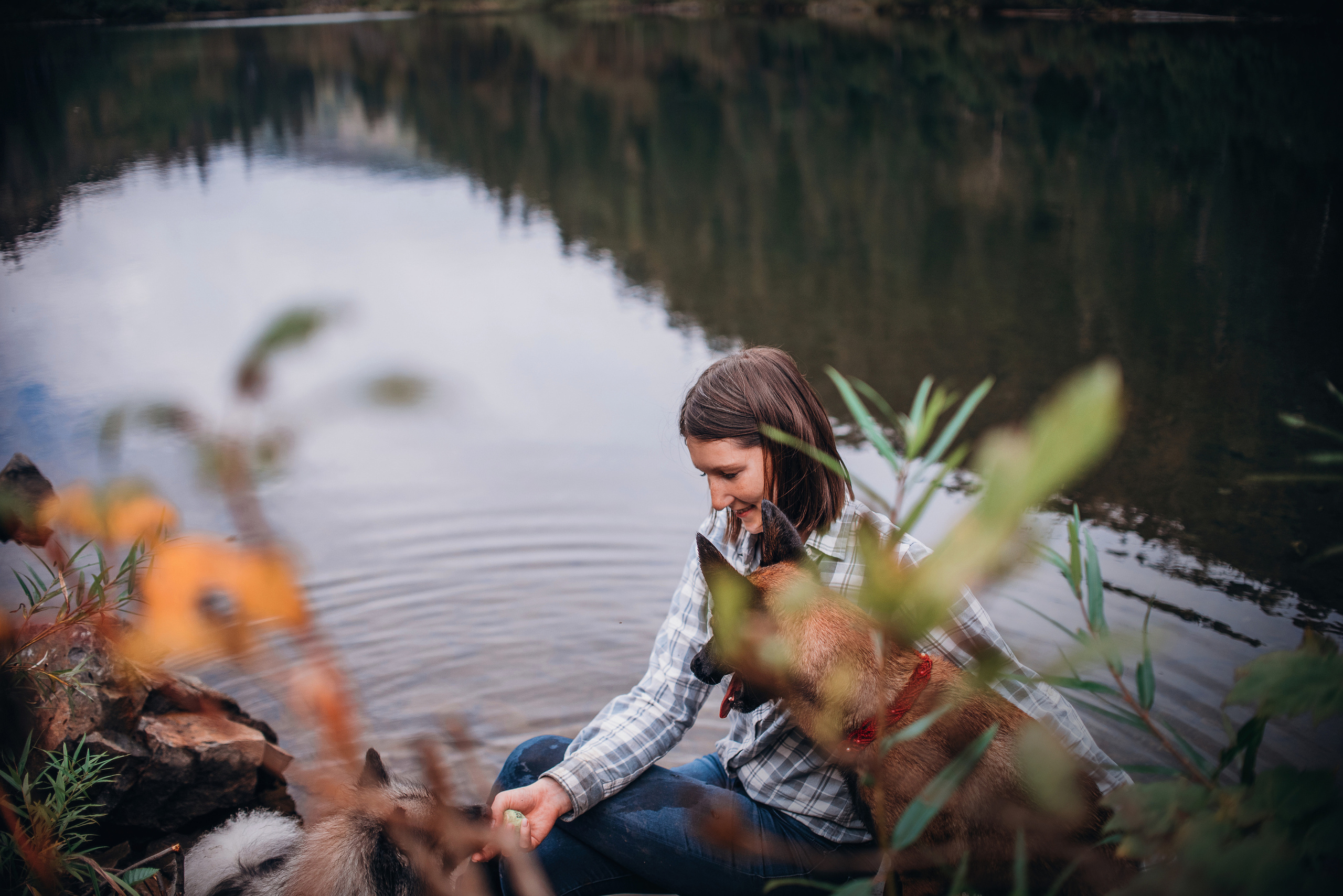 Амут: кеесхонд Верона, малинуа Бэрри, Юля и Леша. Портфолио