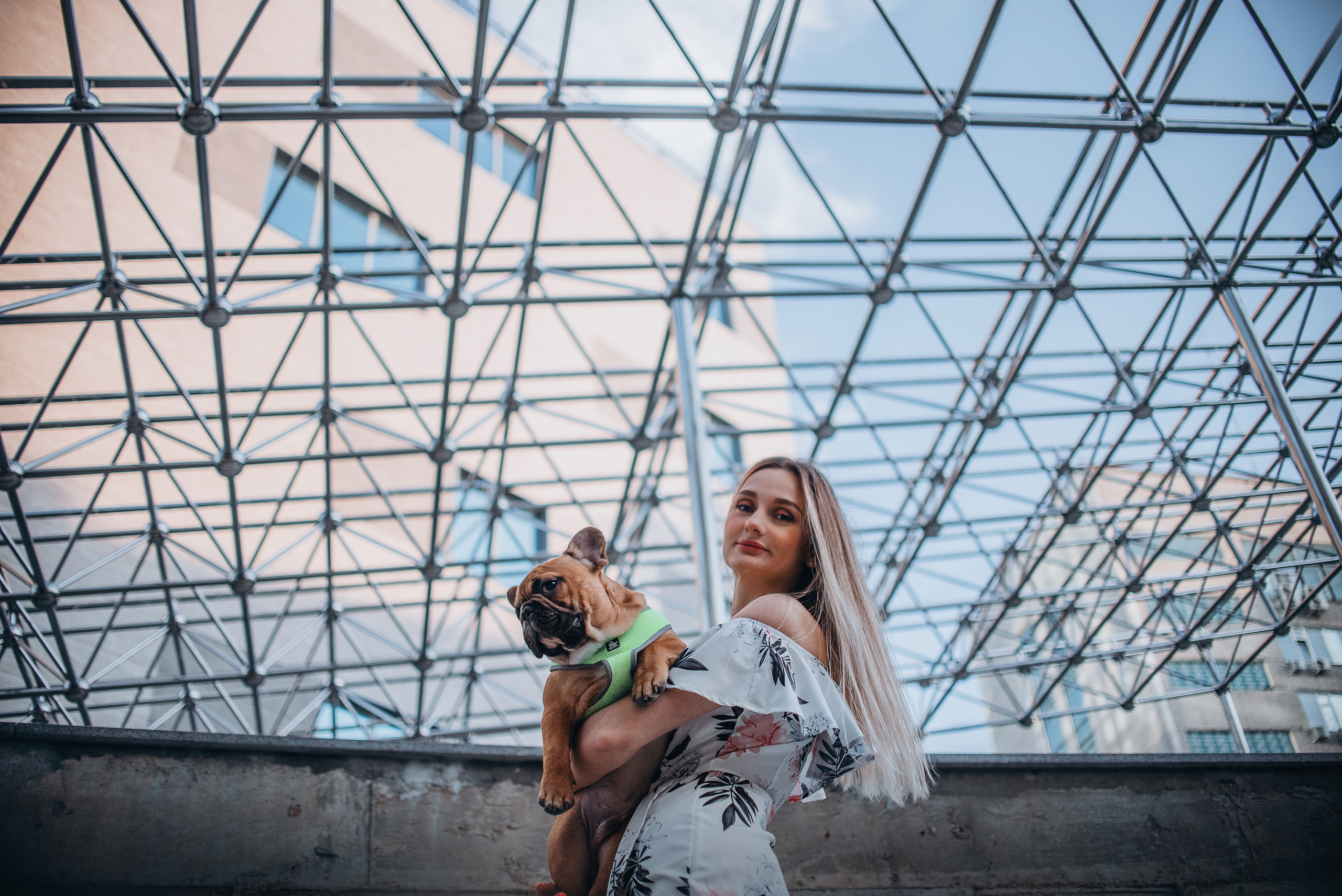 Рассвет в городе: французские бульдоги Лео и Фрэнк и Алена. Портфолио