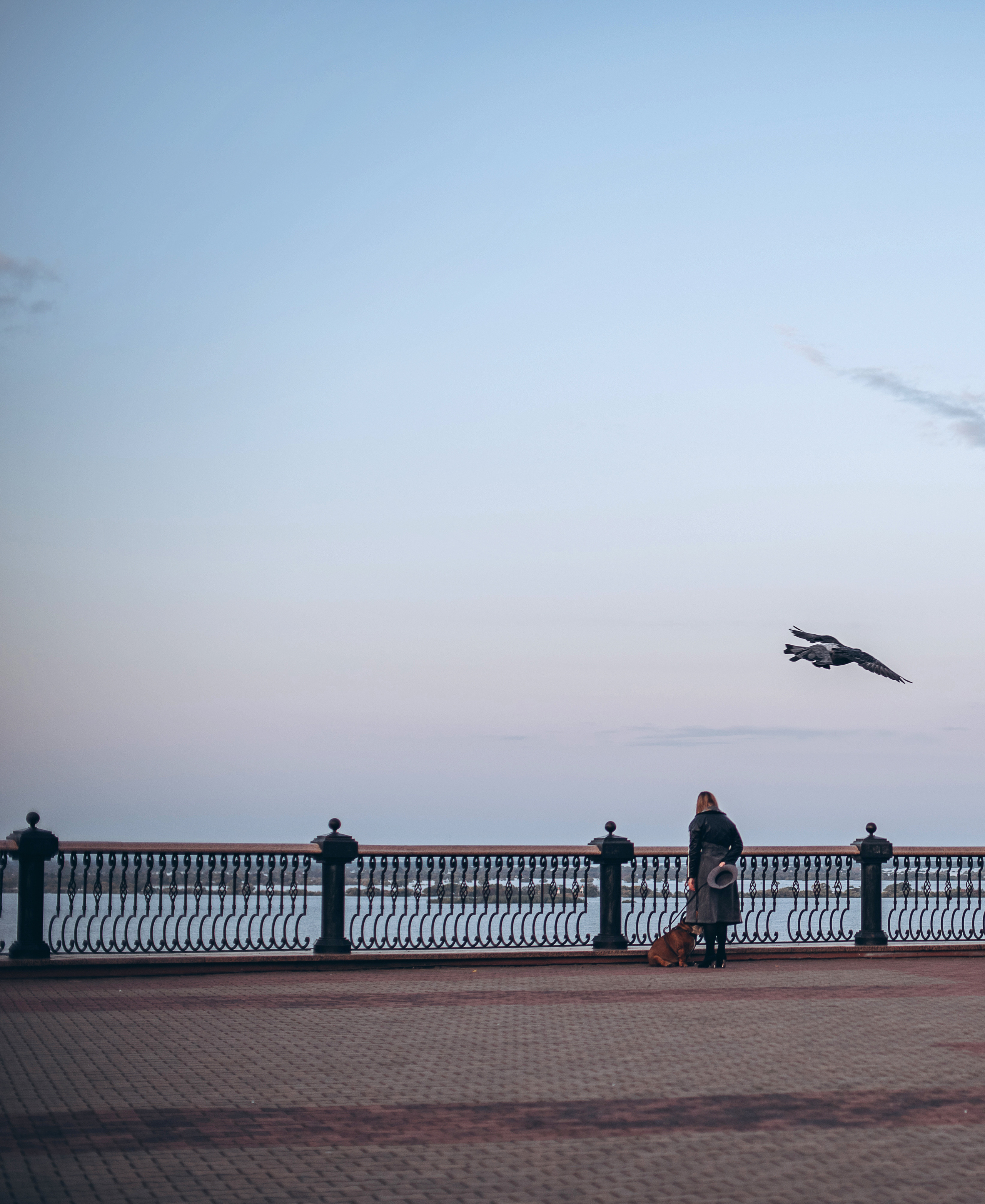Рассвет в городе: бульдог Роберт и Юля. Портфолио