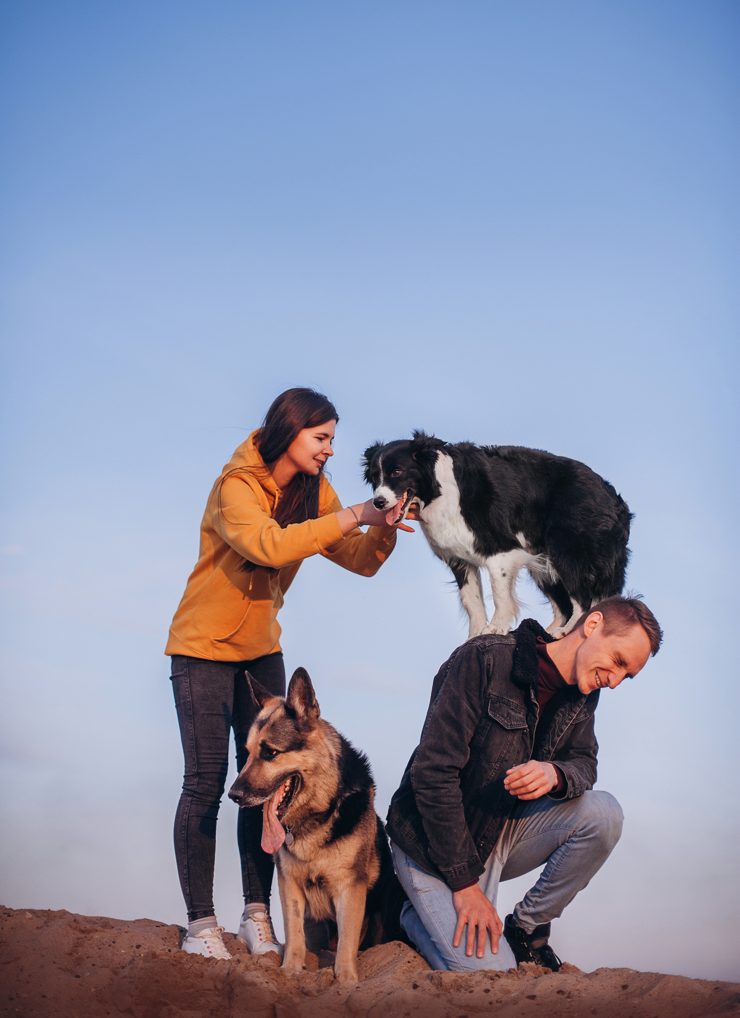 Бордер-колли Юппи, овчар Тайфун, Наташа и Дима. Портфолио