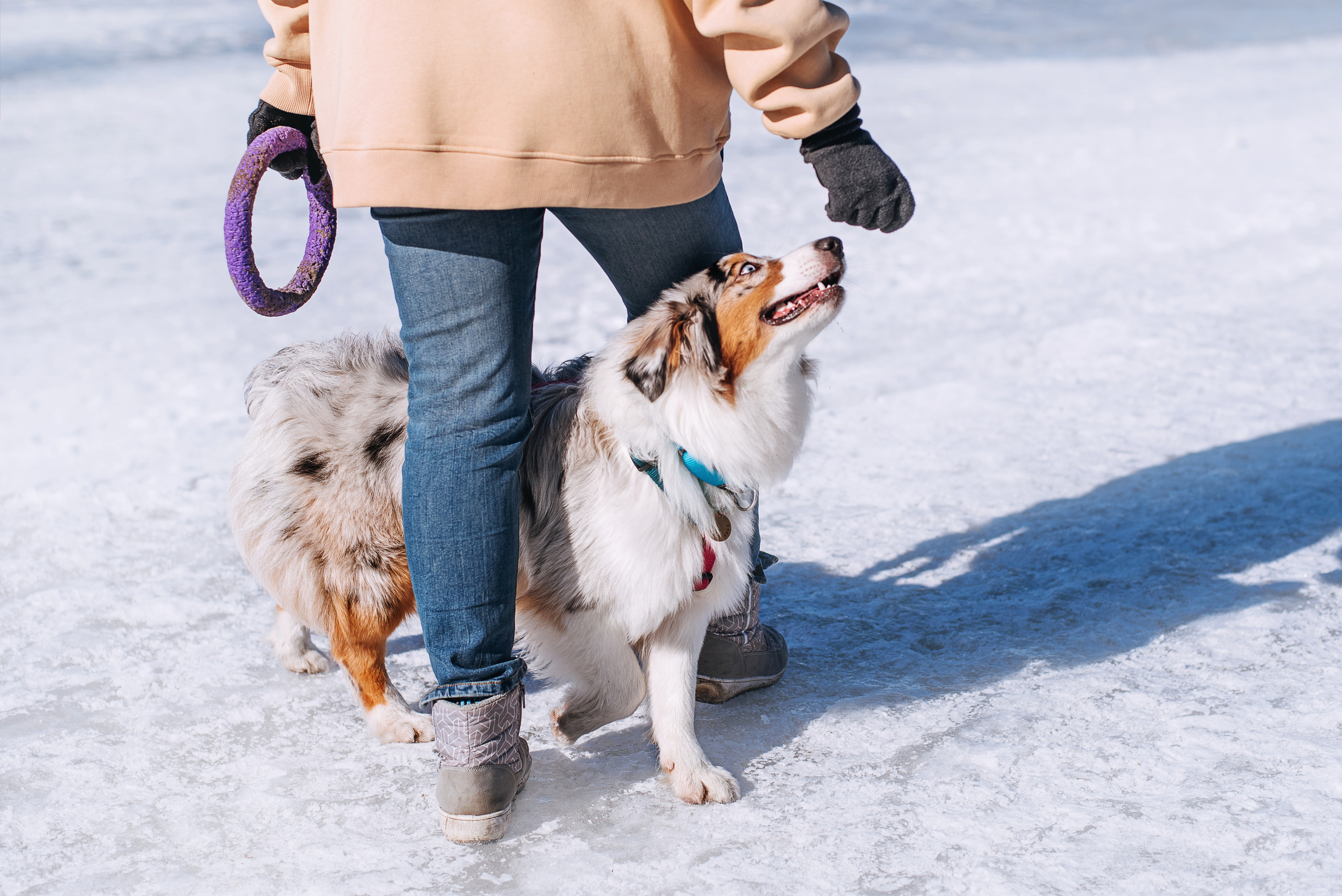 Аусси Киви и Аля. Портфолио