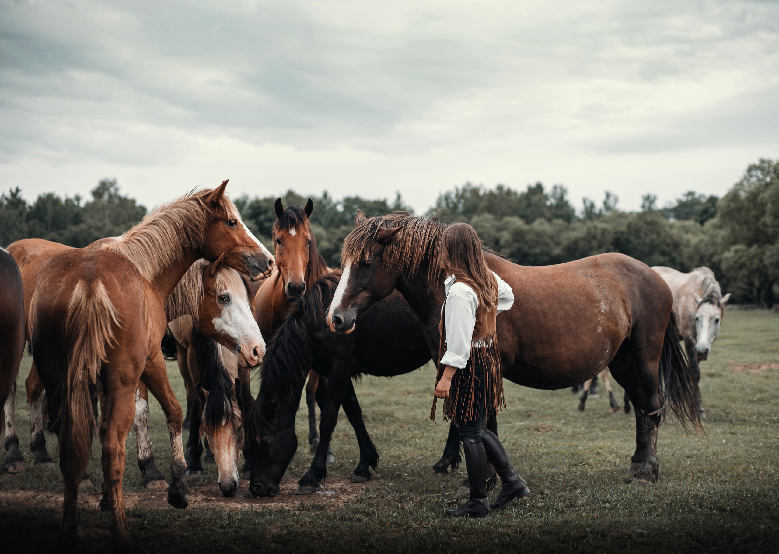 Конное: Катя и табун. Портфолио
