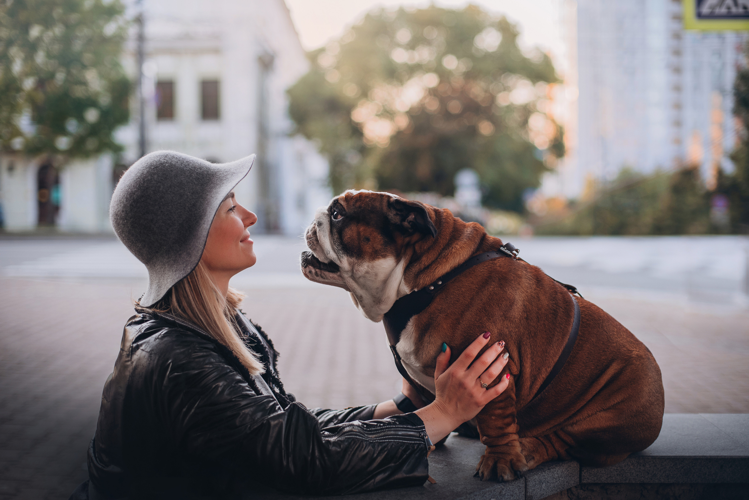 Рассвет в городе: бульдог Роберт и Юля. Портфолио