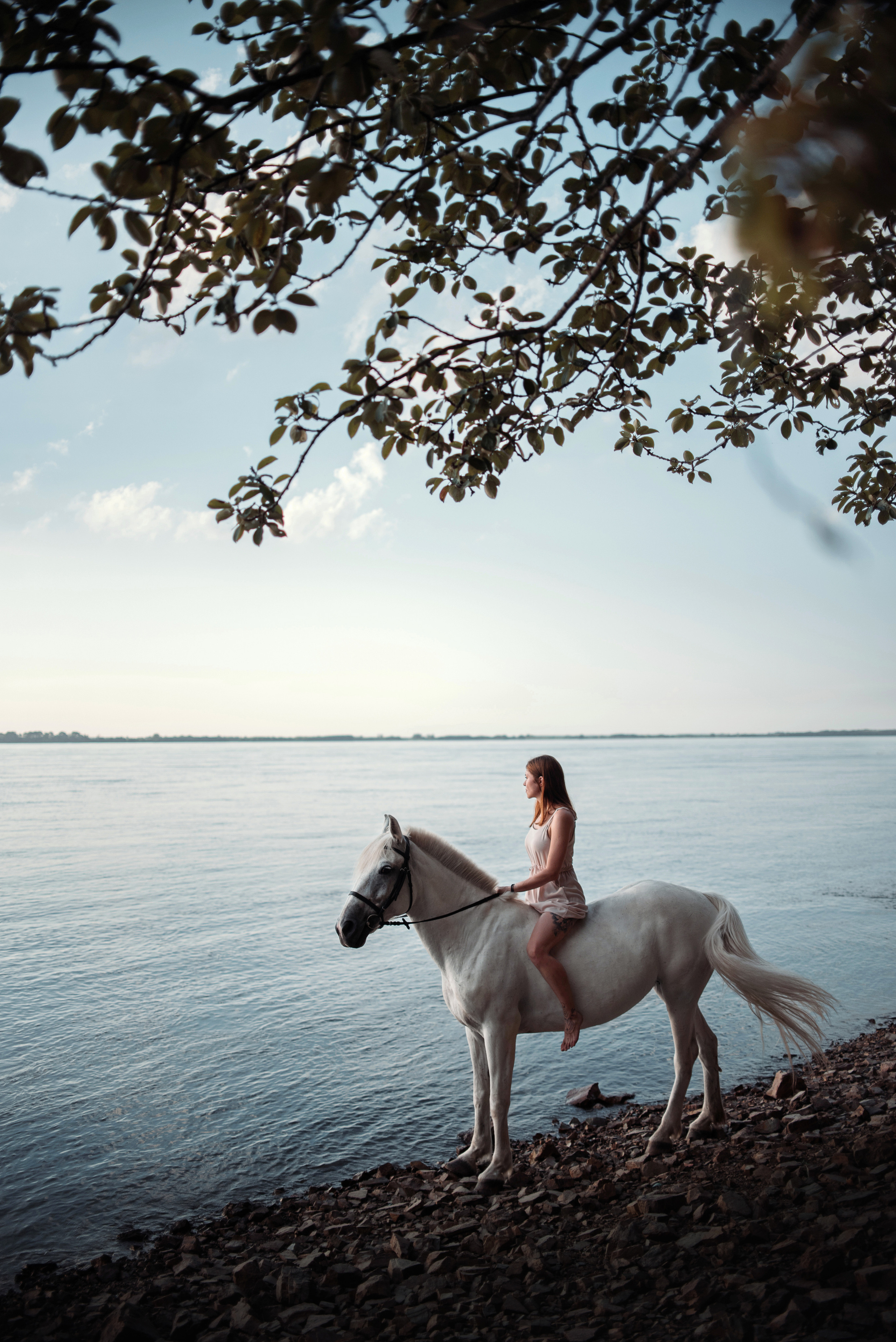 Конное: Лера и Злата на берегу. Портфолио