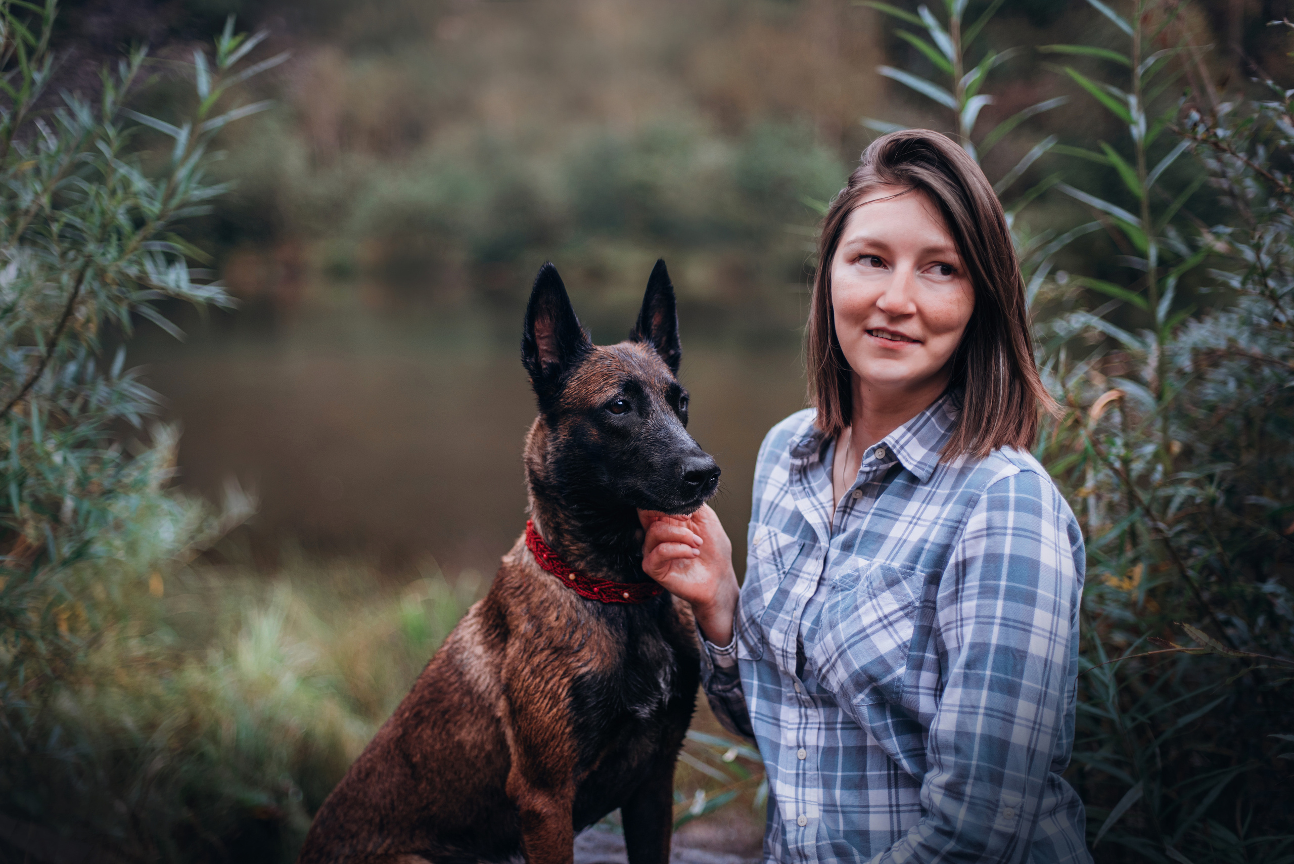 Амут: кеесхонд Верона, малинуа Бэрри, Юля и Леша. Портфолио