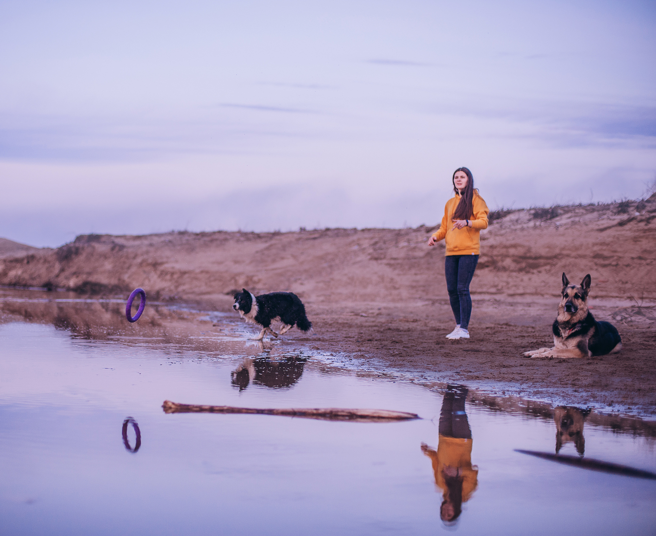 Бордер-колли Юппи, овчар Тайфун, Наташа и Дима. Портфолио