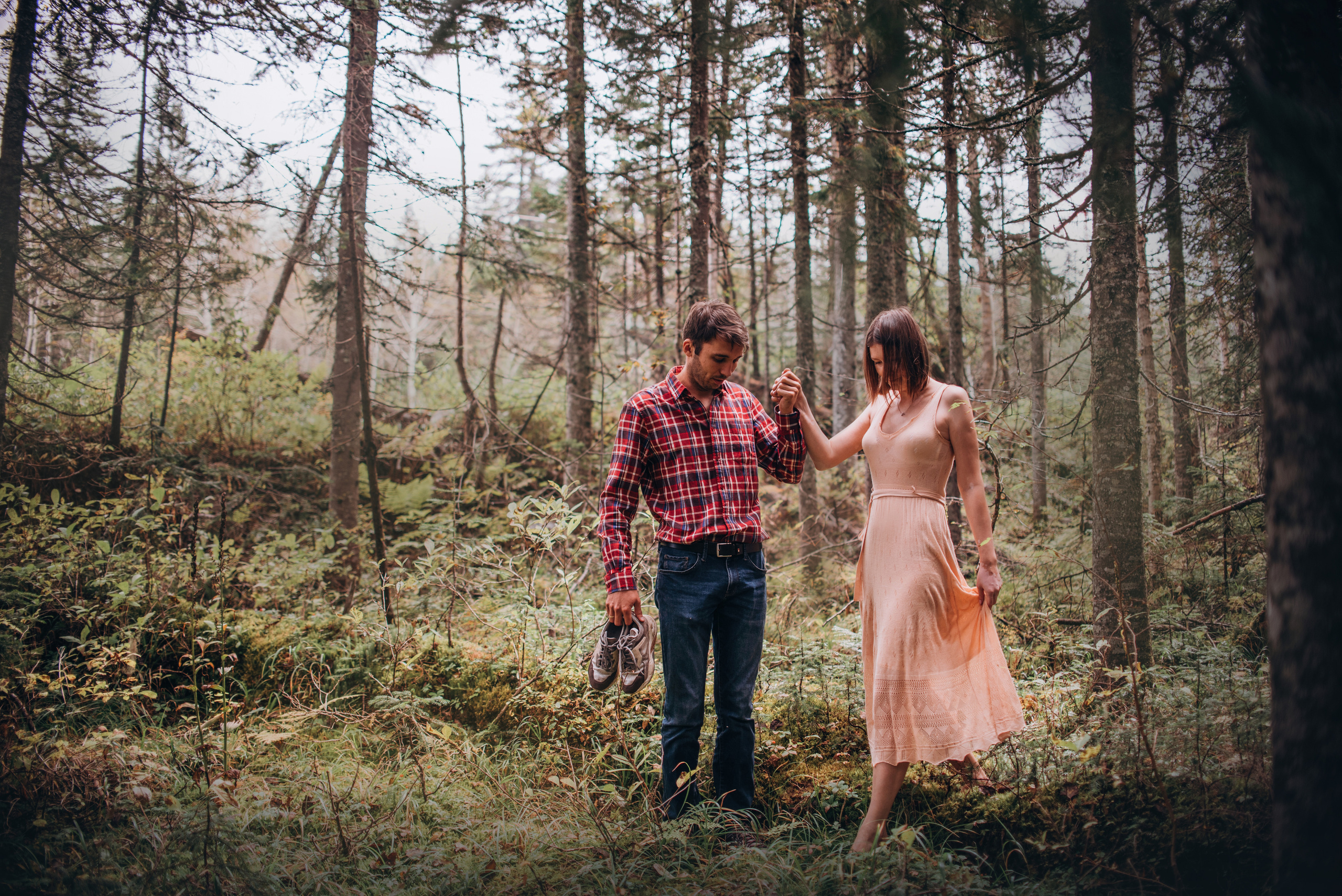 Амут: кеесхонд Верона, малинуа Бэрри, Юля и Леша. Портфолио