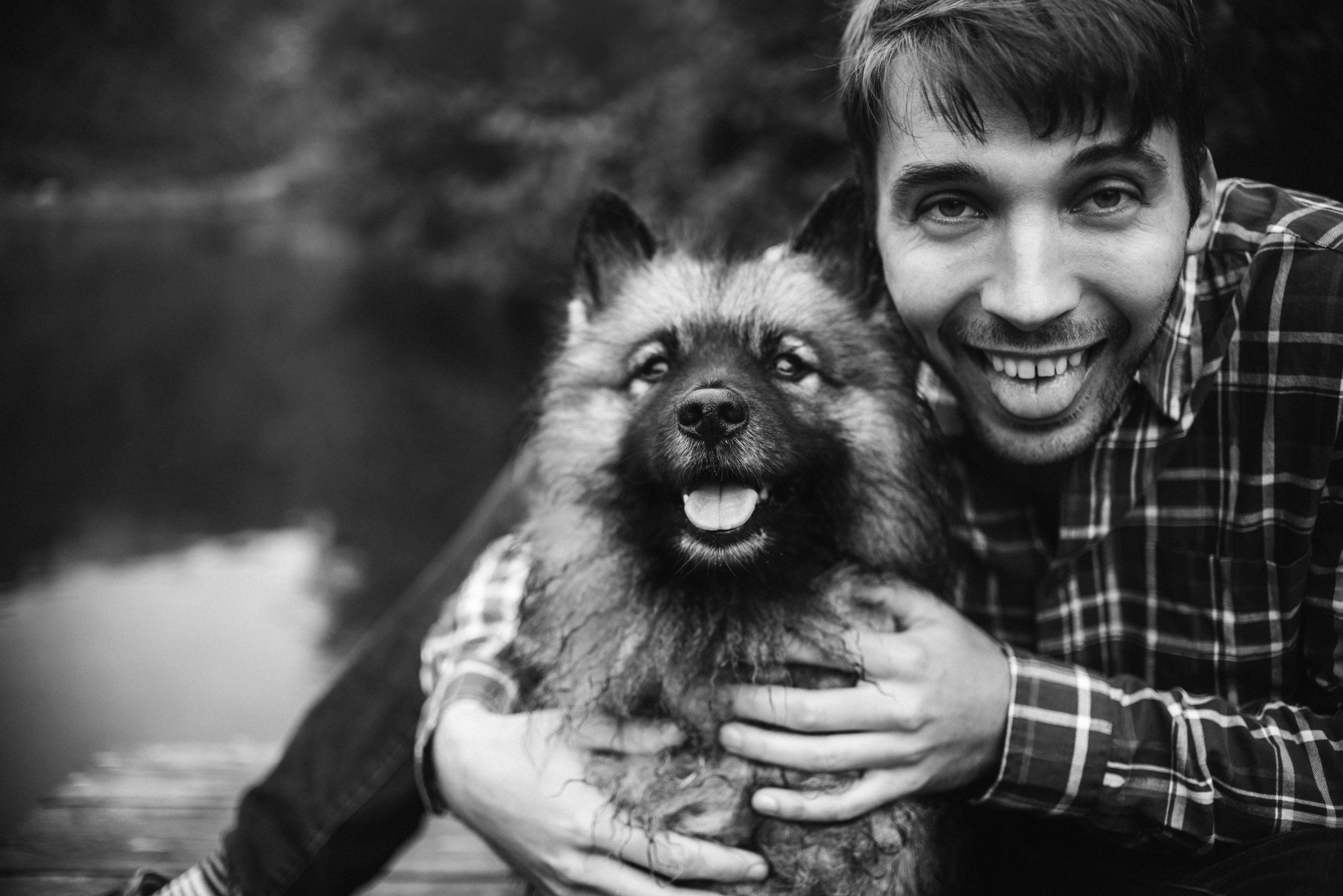 Амут: кеесхонд Верона, малинуа Бэрри, Юля и Леша. Портфолио