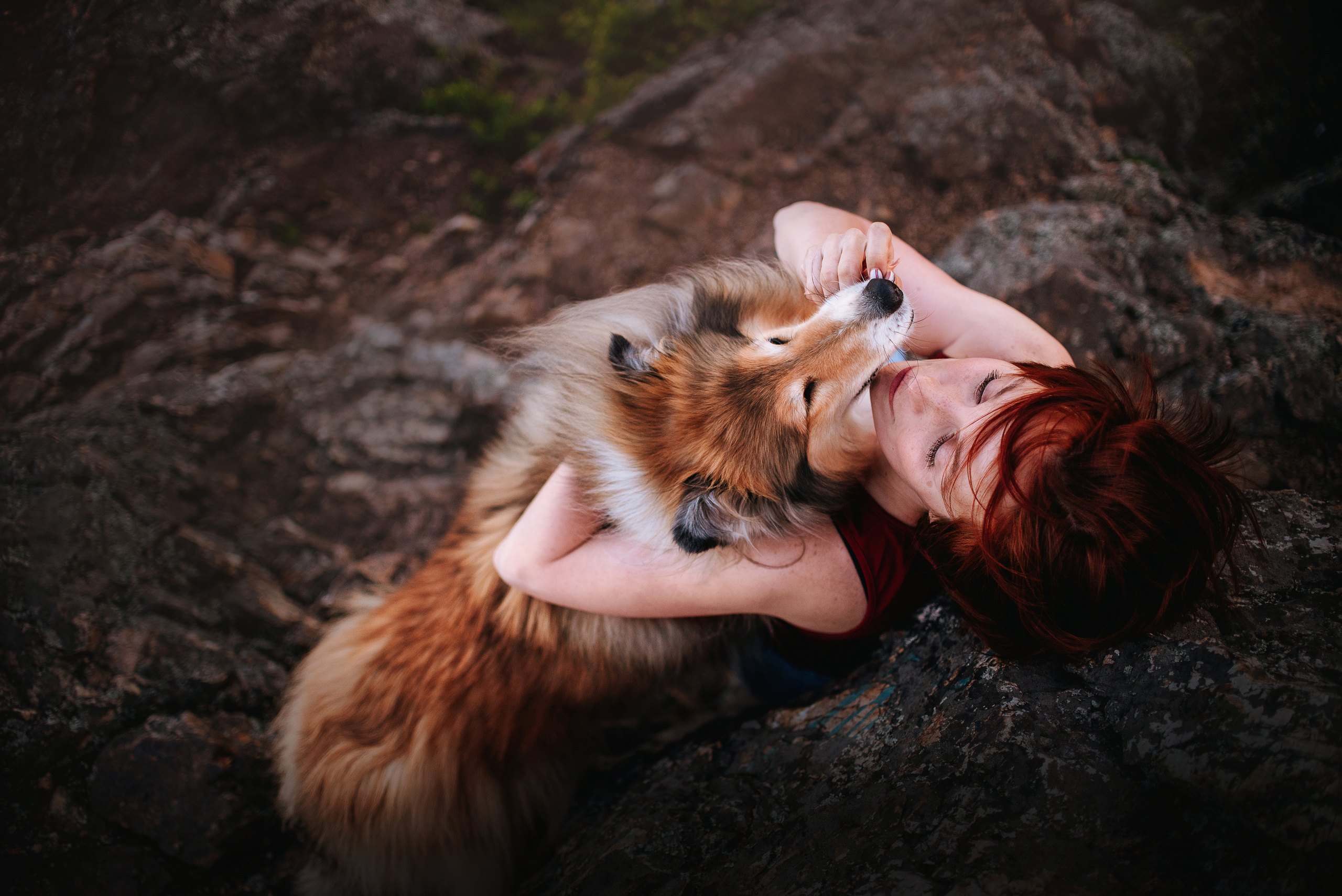 Колли Айра и Настя. Портфолио