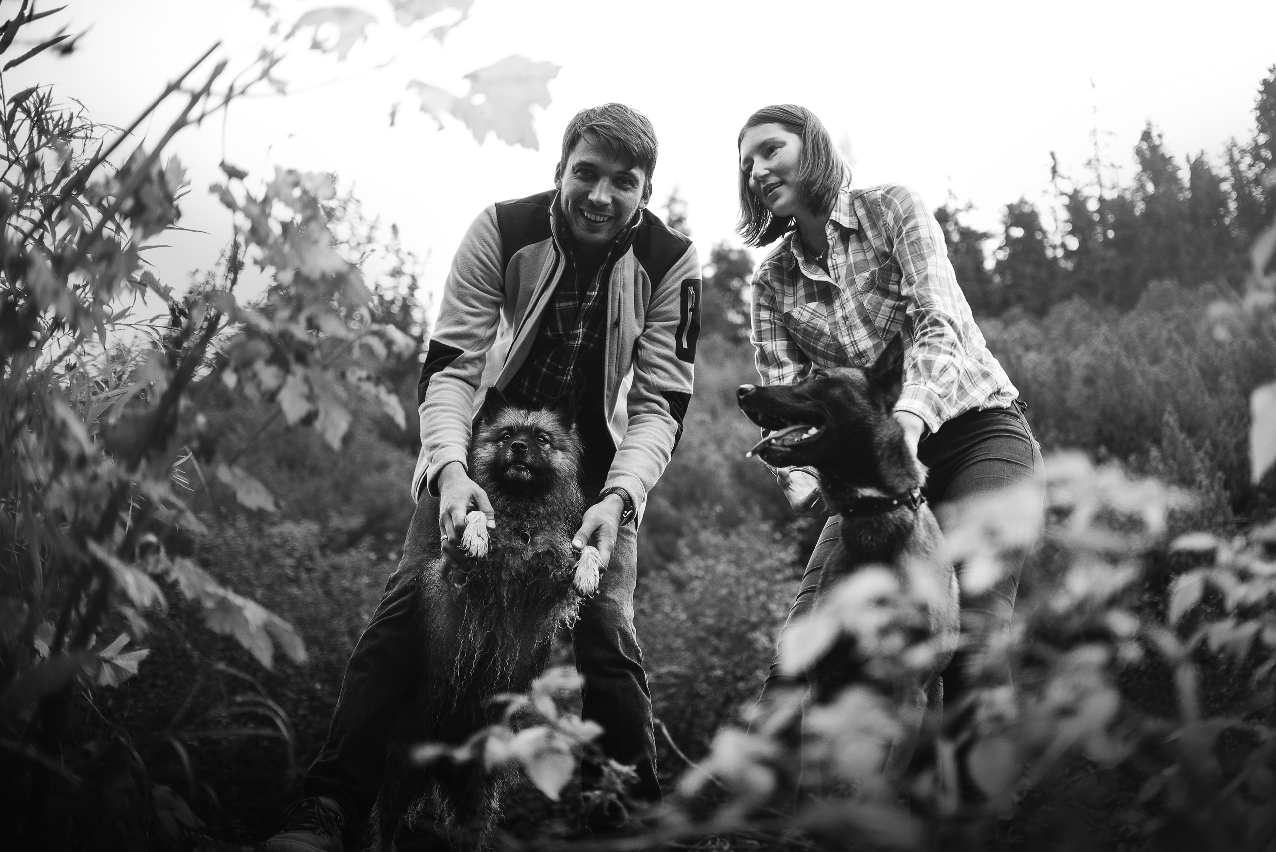 Амут: кеесхонд Верона, малинуа Бэрри, Юля и Леша. Портфолио