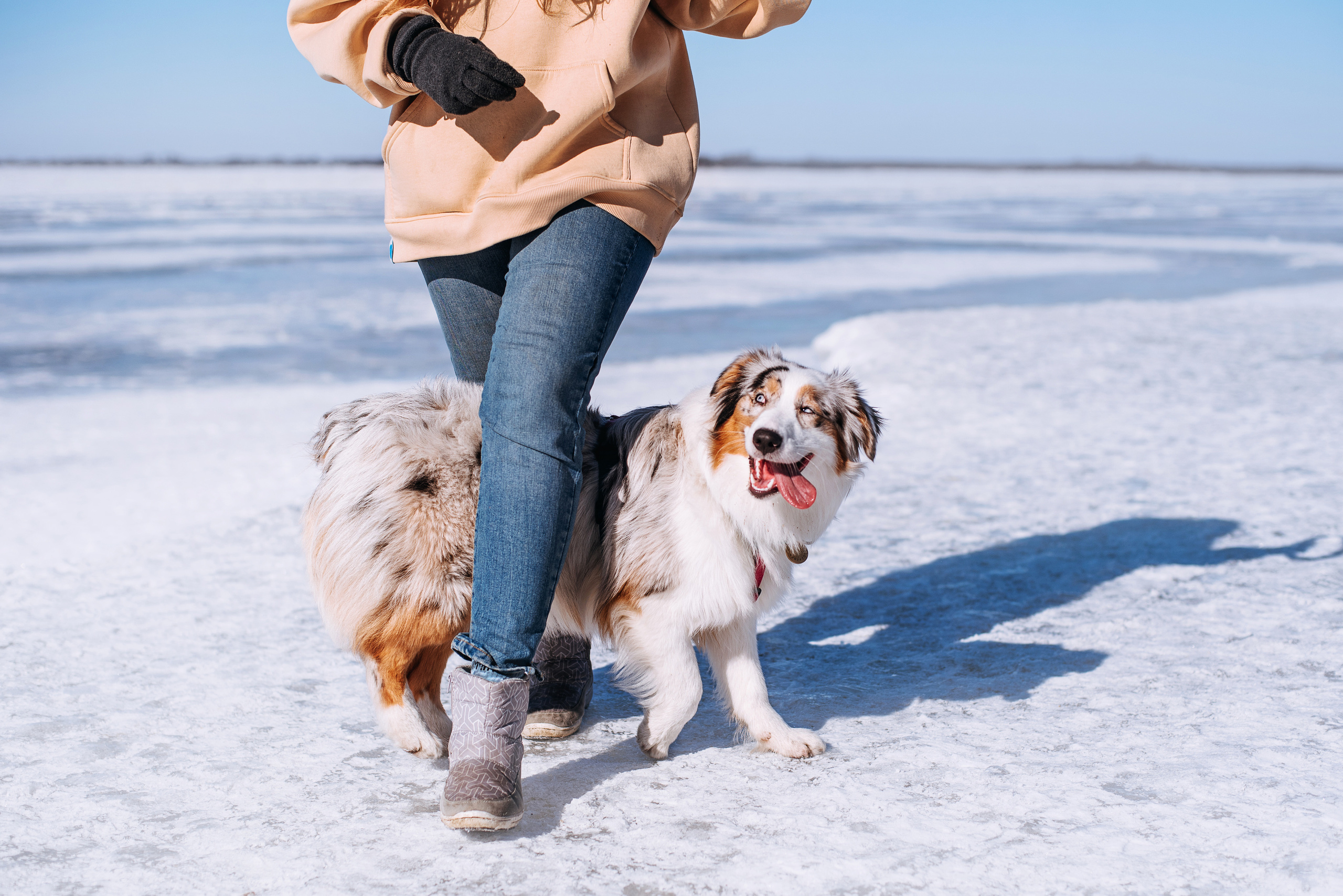 Аусси Киви и Аля. Портфолио