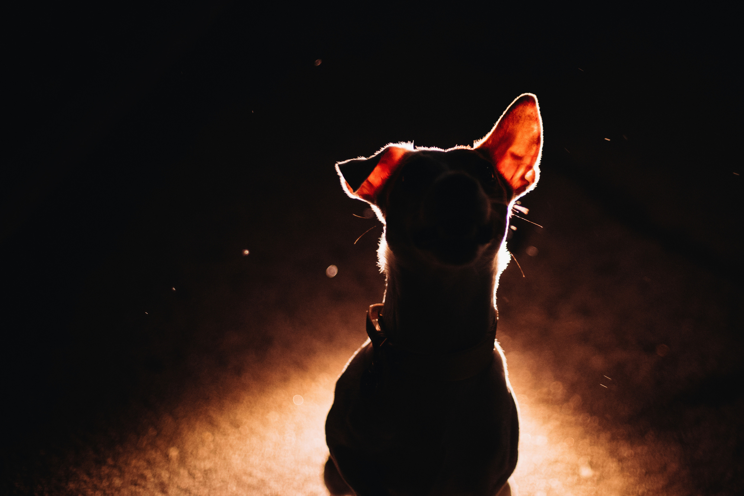 Темное: парсон Ева и Олеся. Портфолио