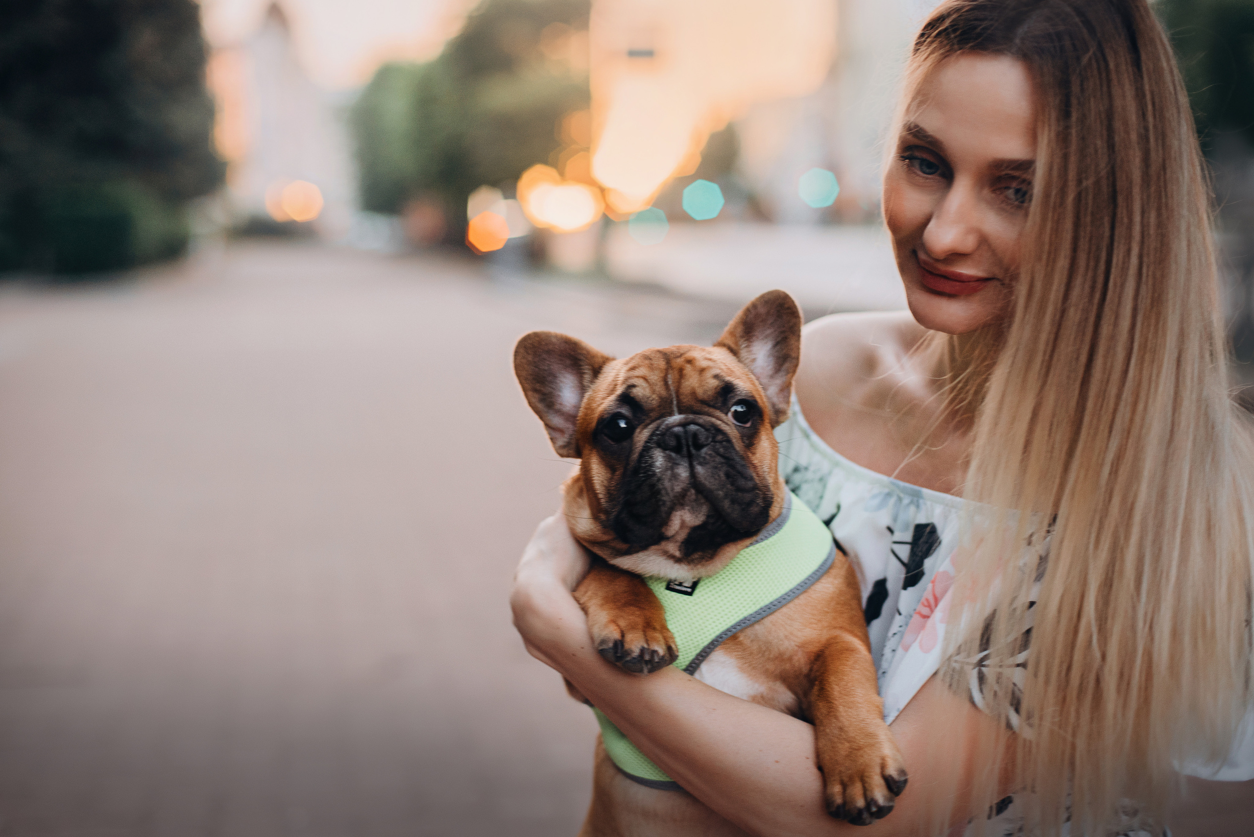 Рассвет в городе: французские бульдоги Лео и Фрэнк и Алена. Портфолио