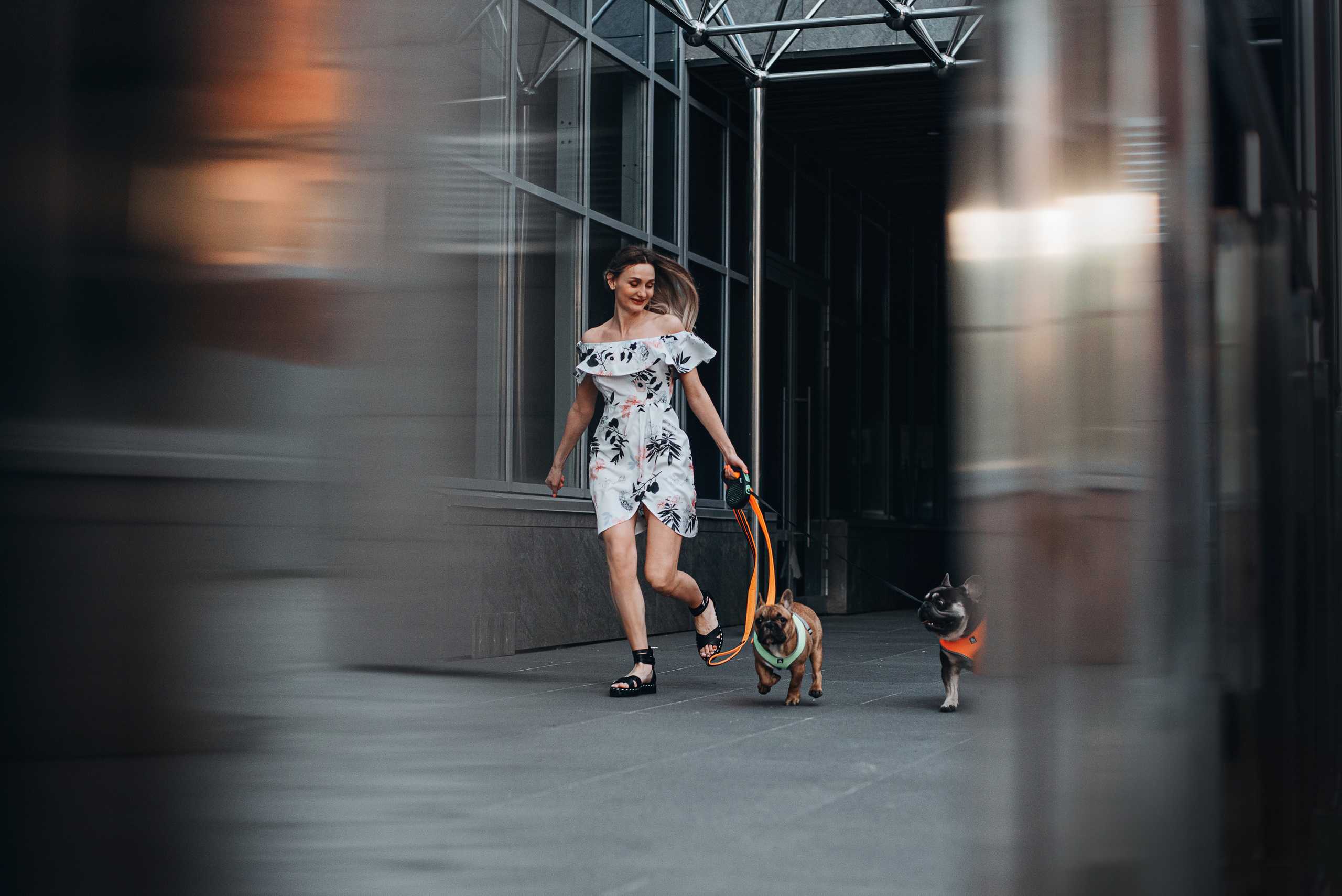 Рассвет в городе: французские бульдоги Лео и Фрэнк и Алена. Портфолио