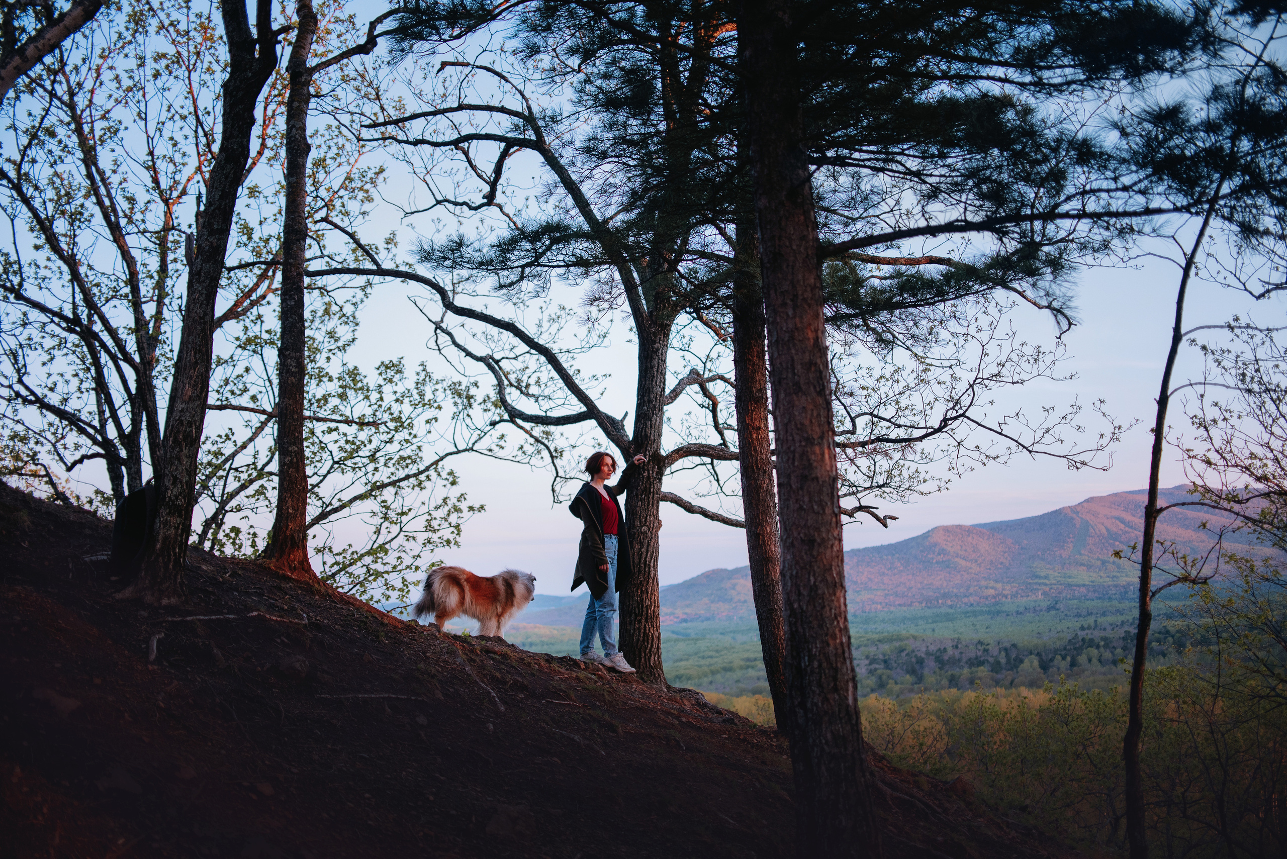 Колли Айра и Настя. Портфолио