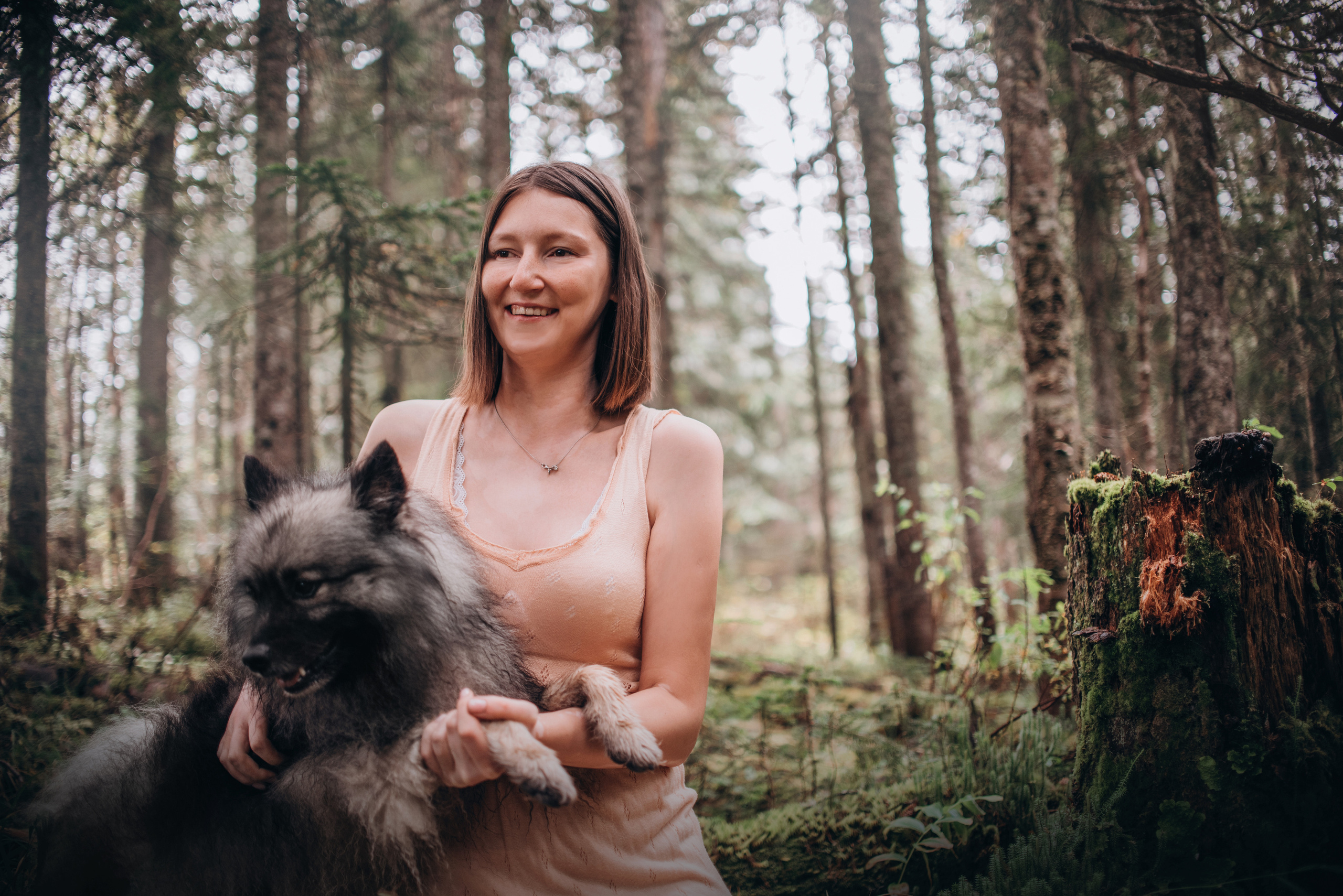 Амут: кеесхонд Верона, малинуа Бэрри, Юля и Леша. Портфолио