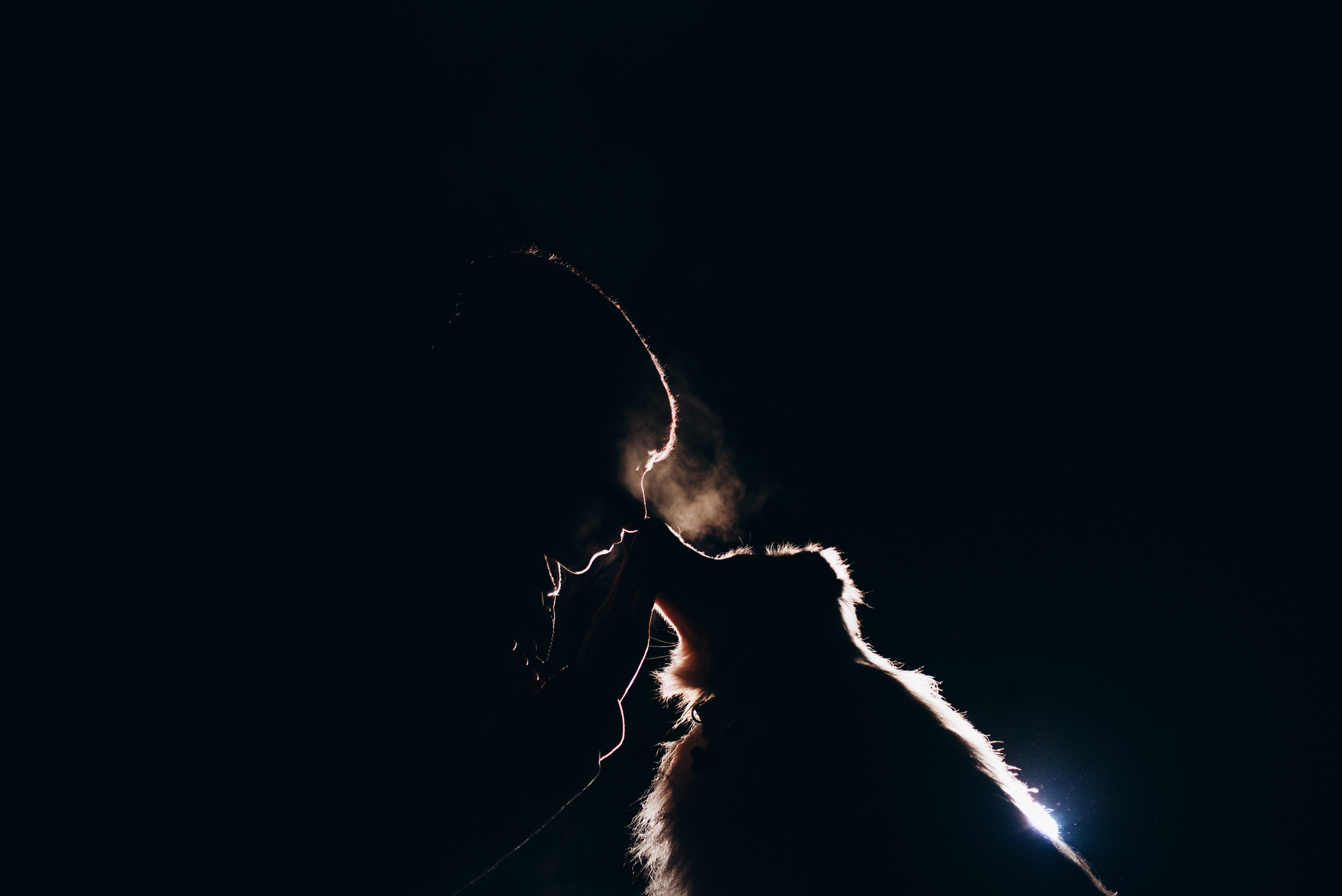 Шелти Расс. Портфолио