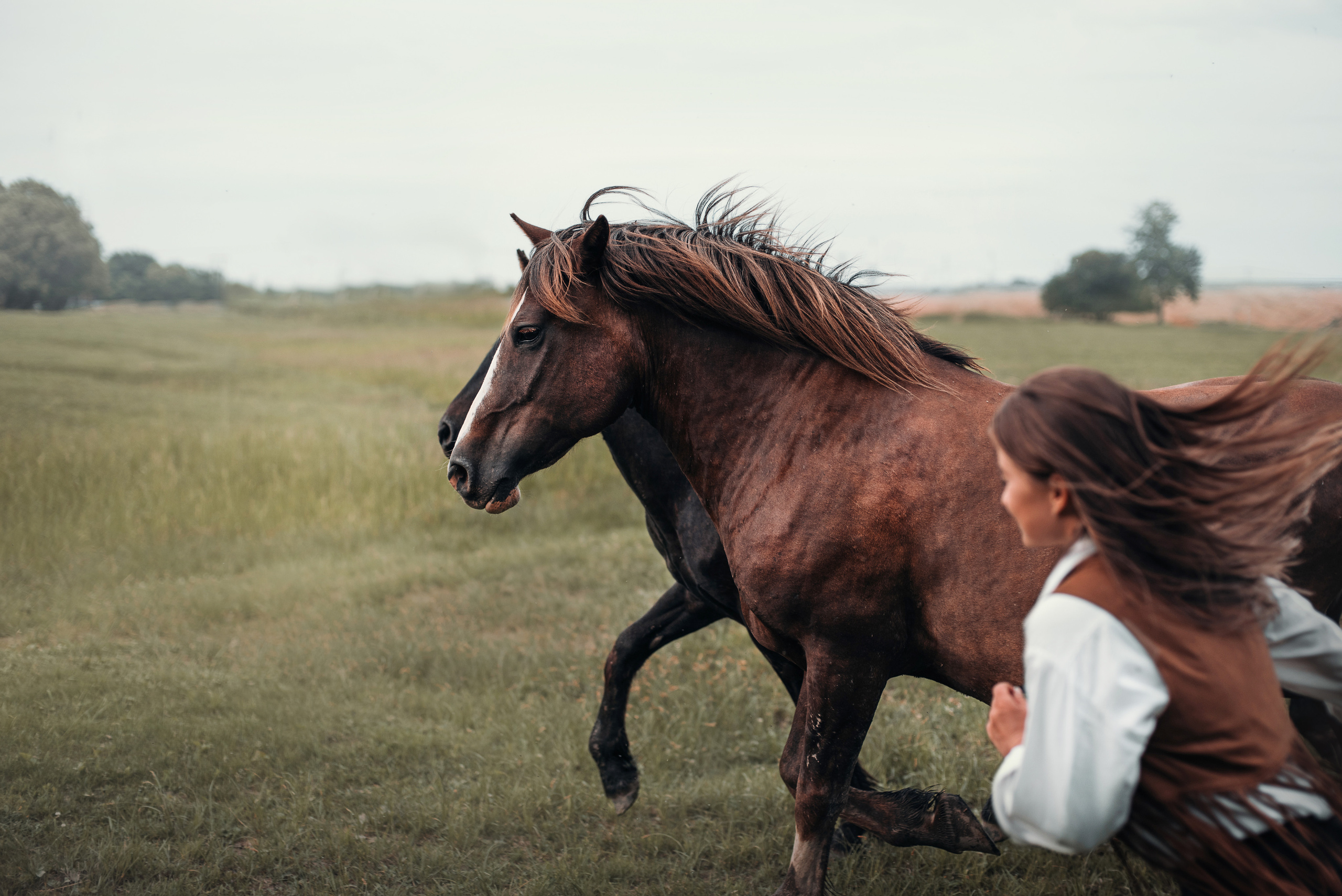 Конное: Катя и табун. Портфолио