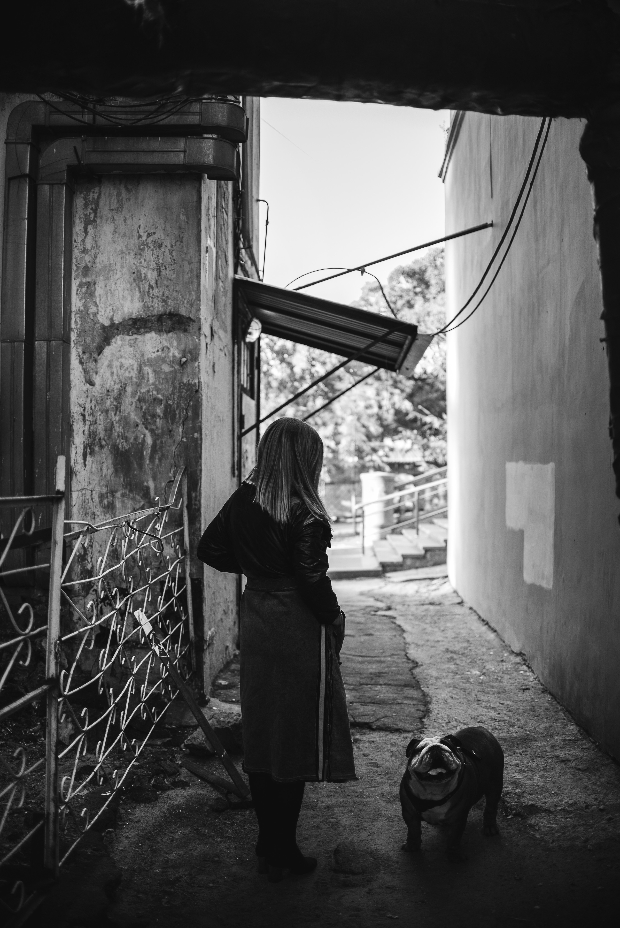 Рассвет в городе: бульдог Роберт и Юля. Портфолио