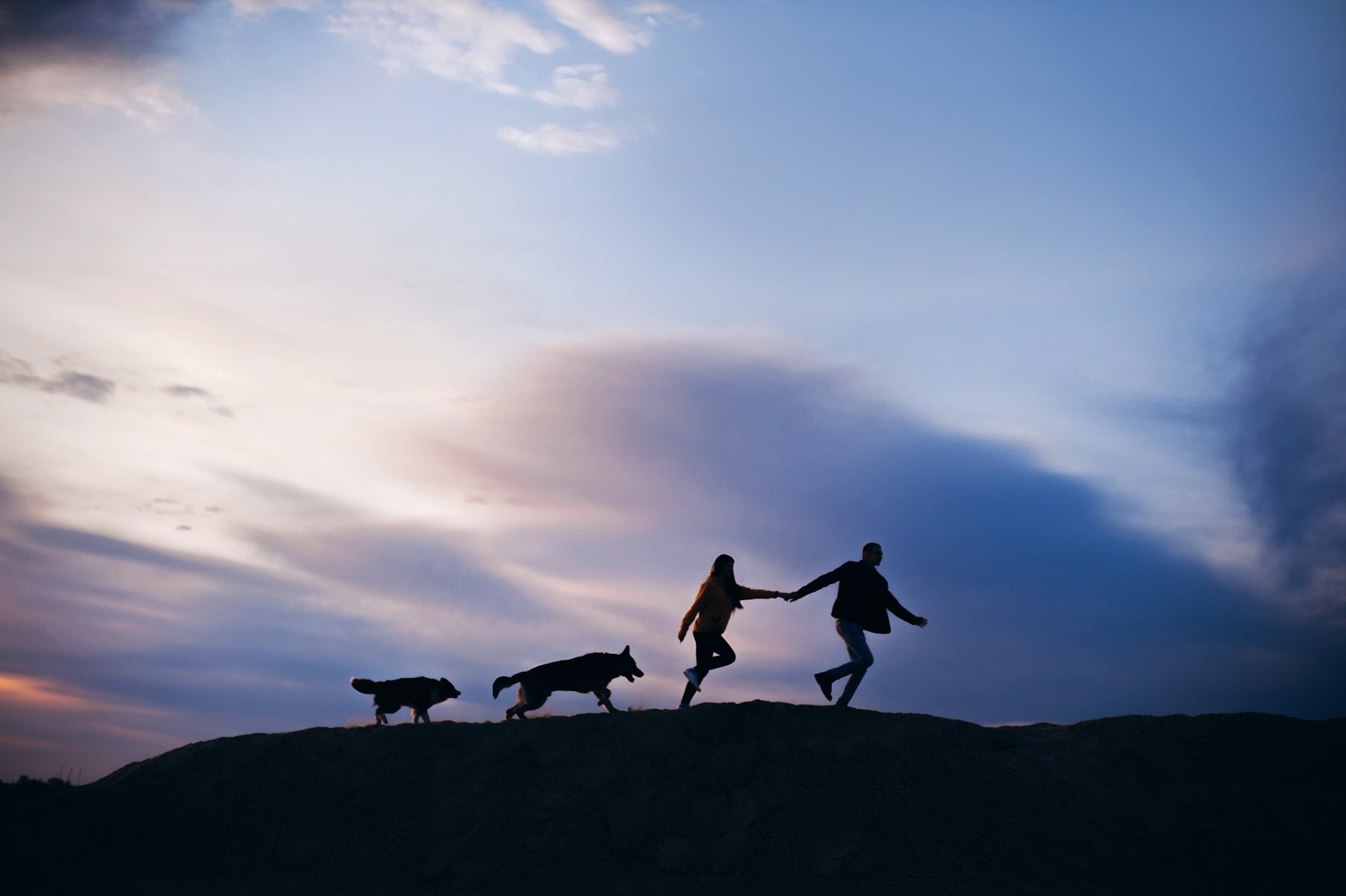 Бордер-колли Юппи, овчар Тайфун, Наташа и Дима. Портфолио