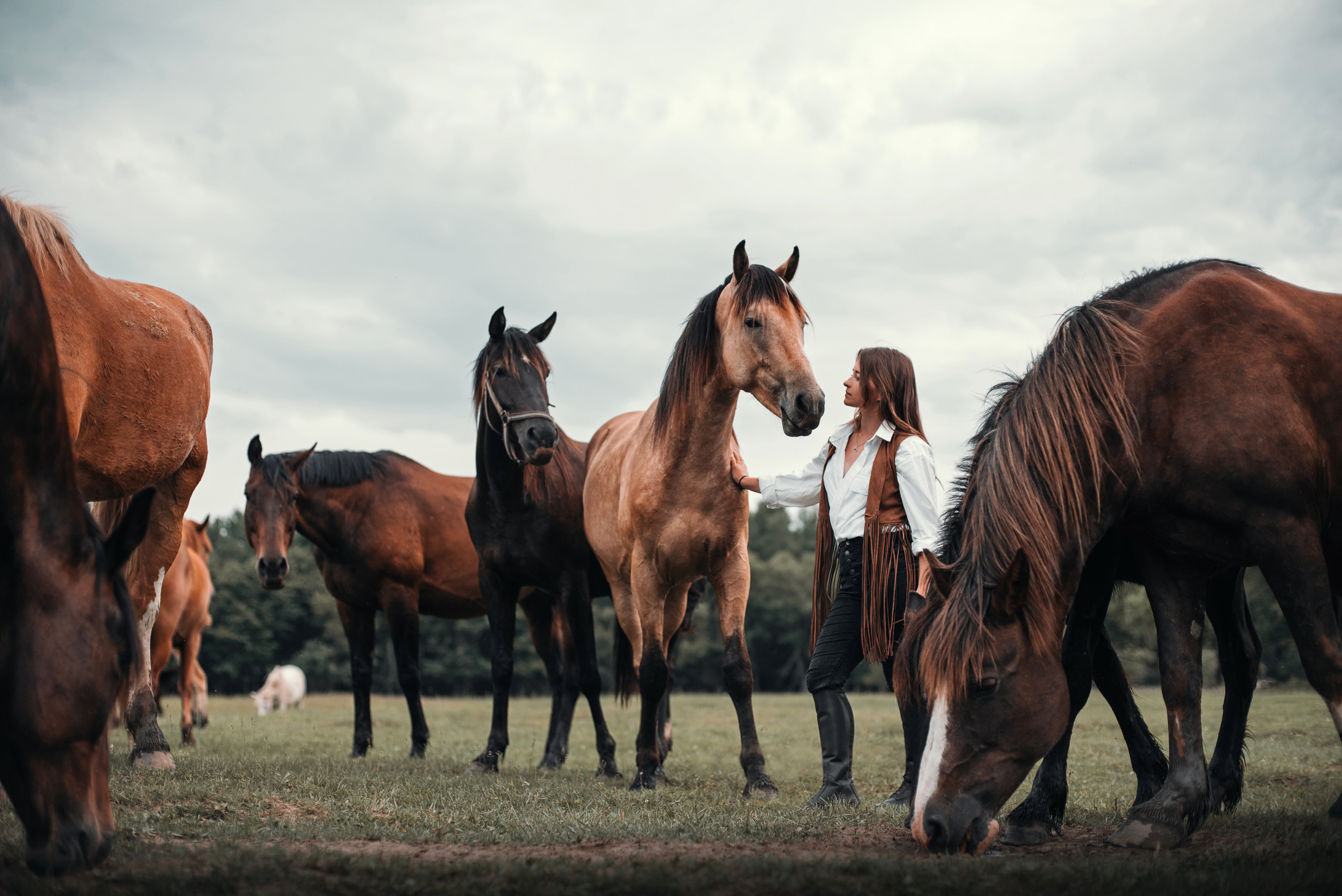 Конное: Катя и табун. Портфолио