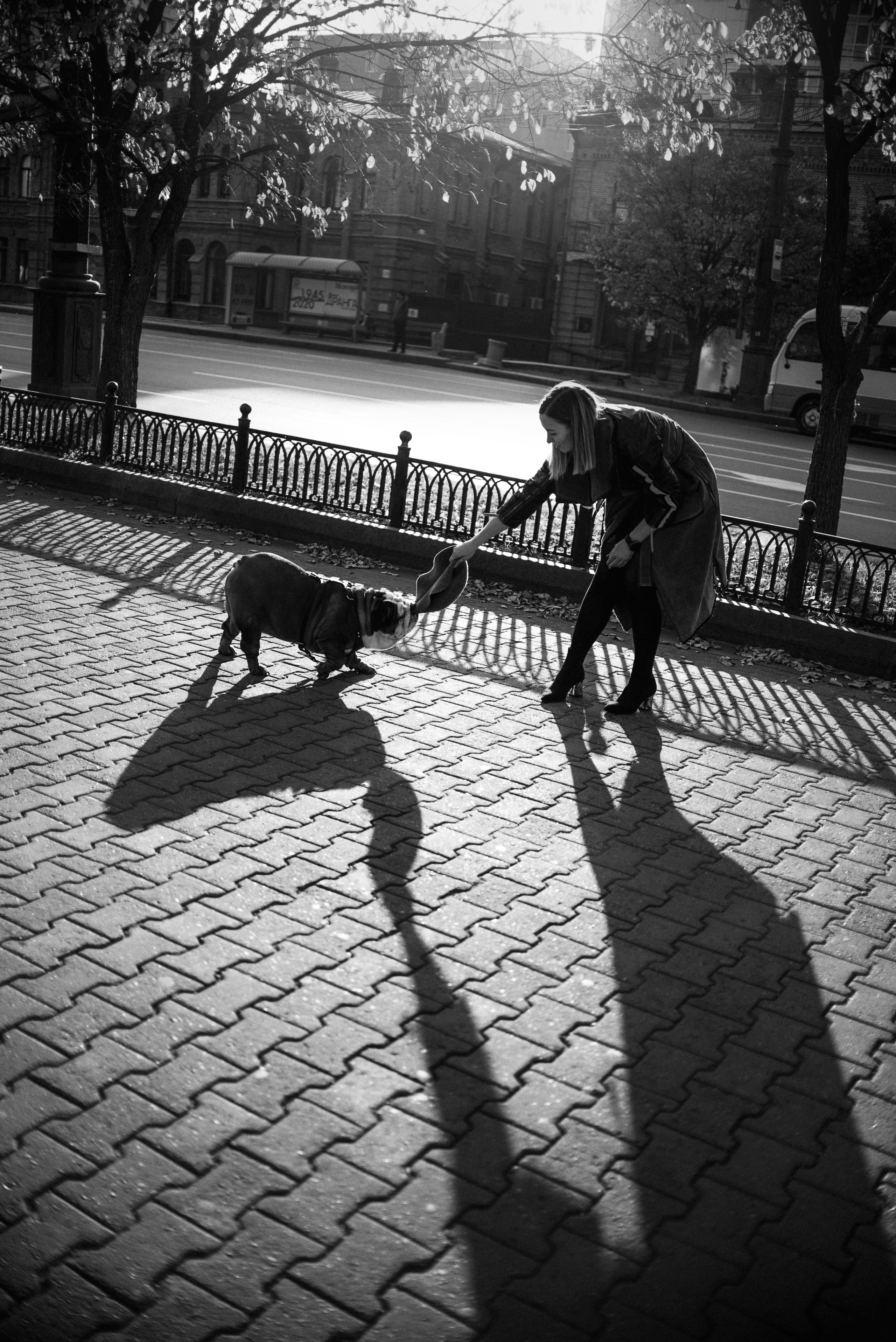 Рассвет в городе: бульдог Роберт и Юля. Портфолио