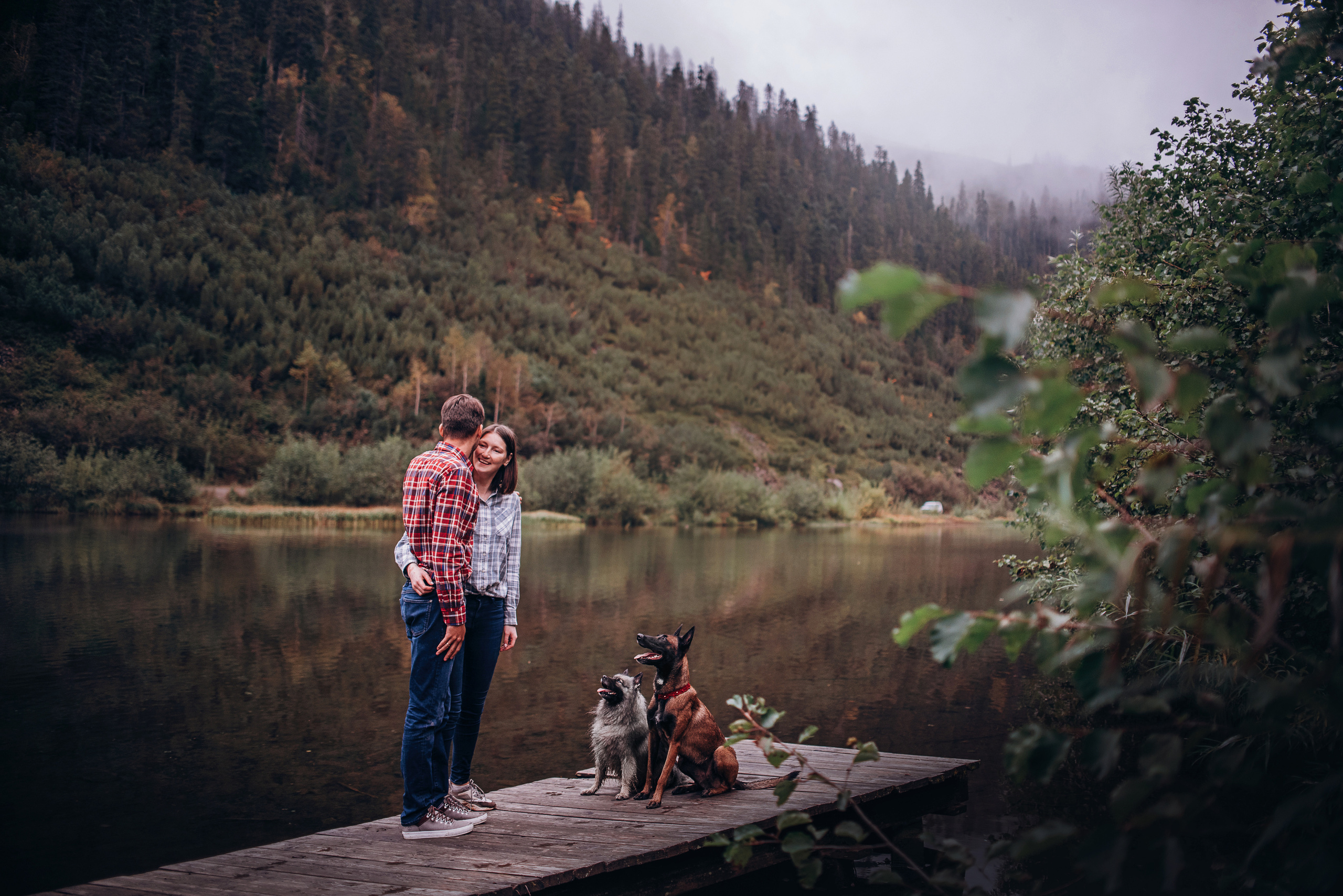 Амут: кеесхонд Верона, малинуа Бэрри, Юля и Леша. Портфолио