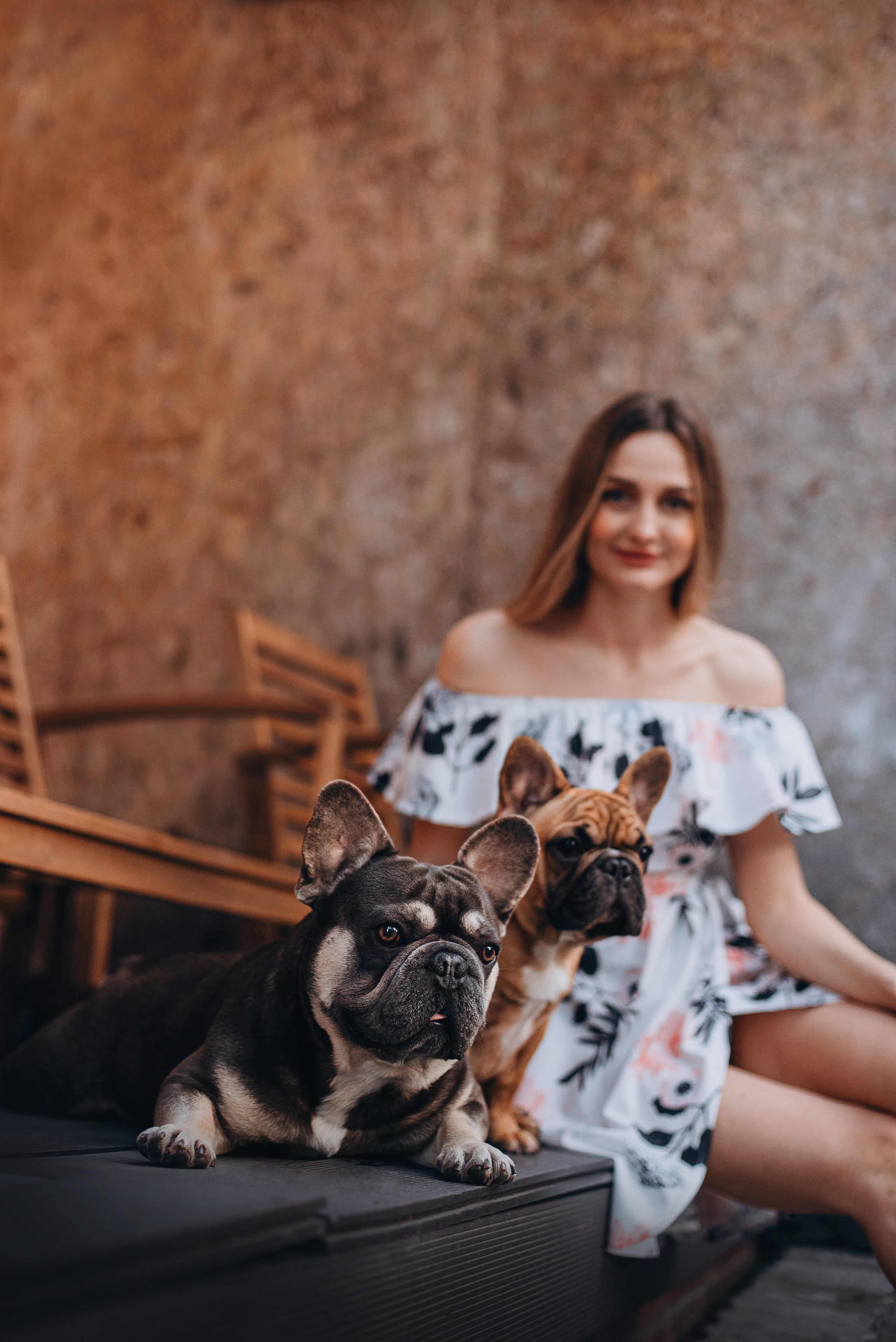 Рассвет в городе: французские бульдоги Лео и Фрэнк и Алена. Портфолио