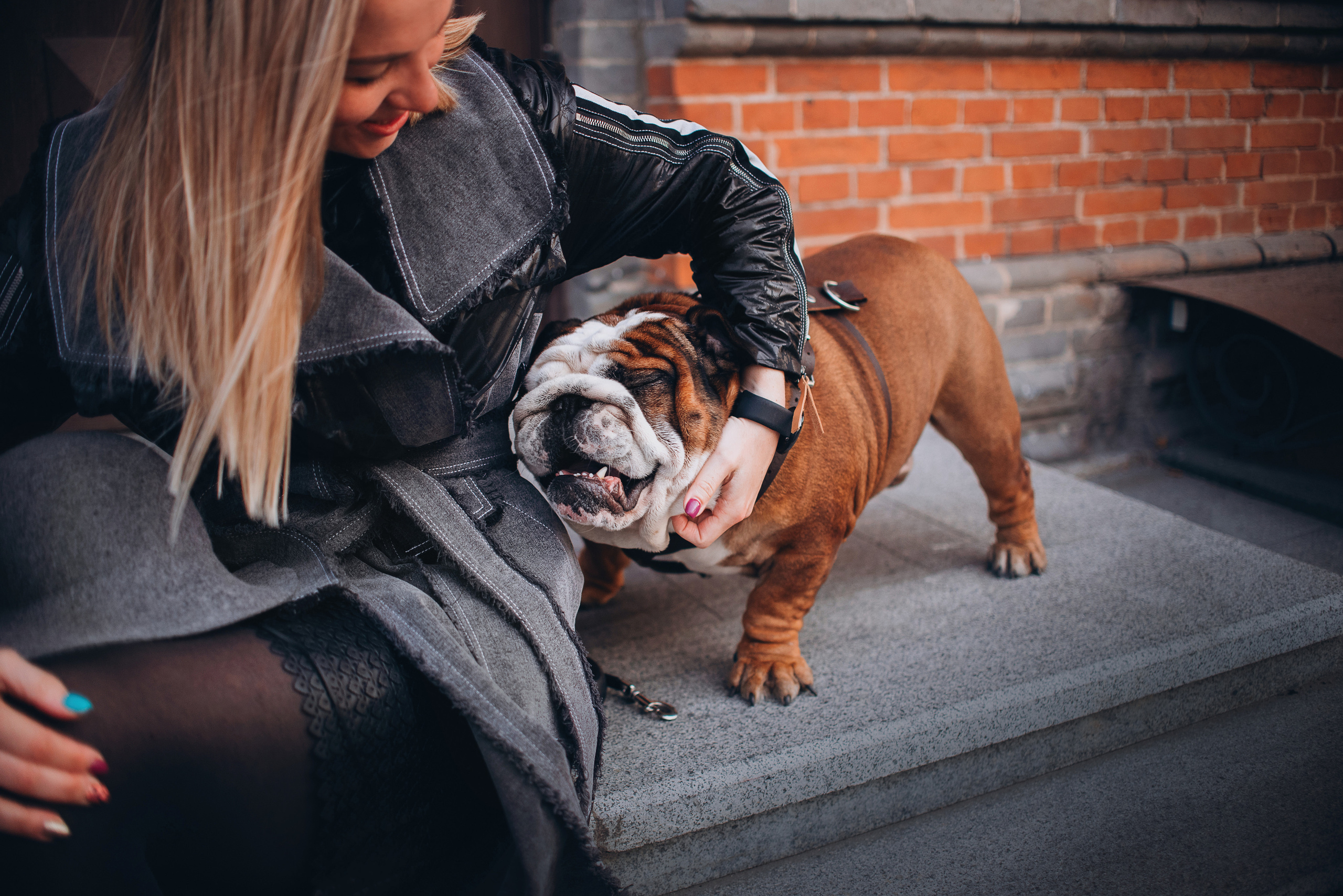 Рассвет в городе: бульдог Роберт и Юля. Портфолио