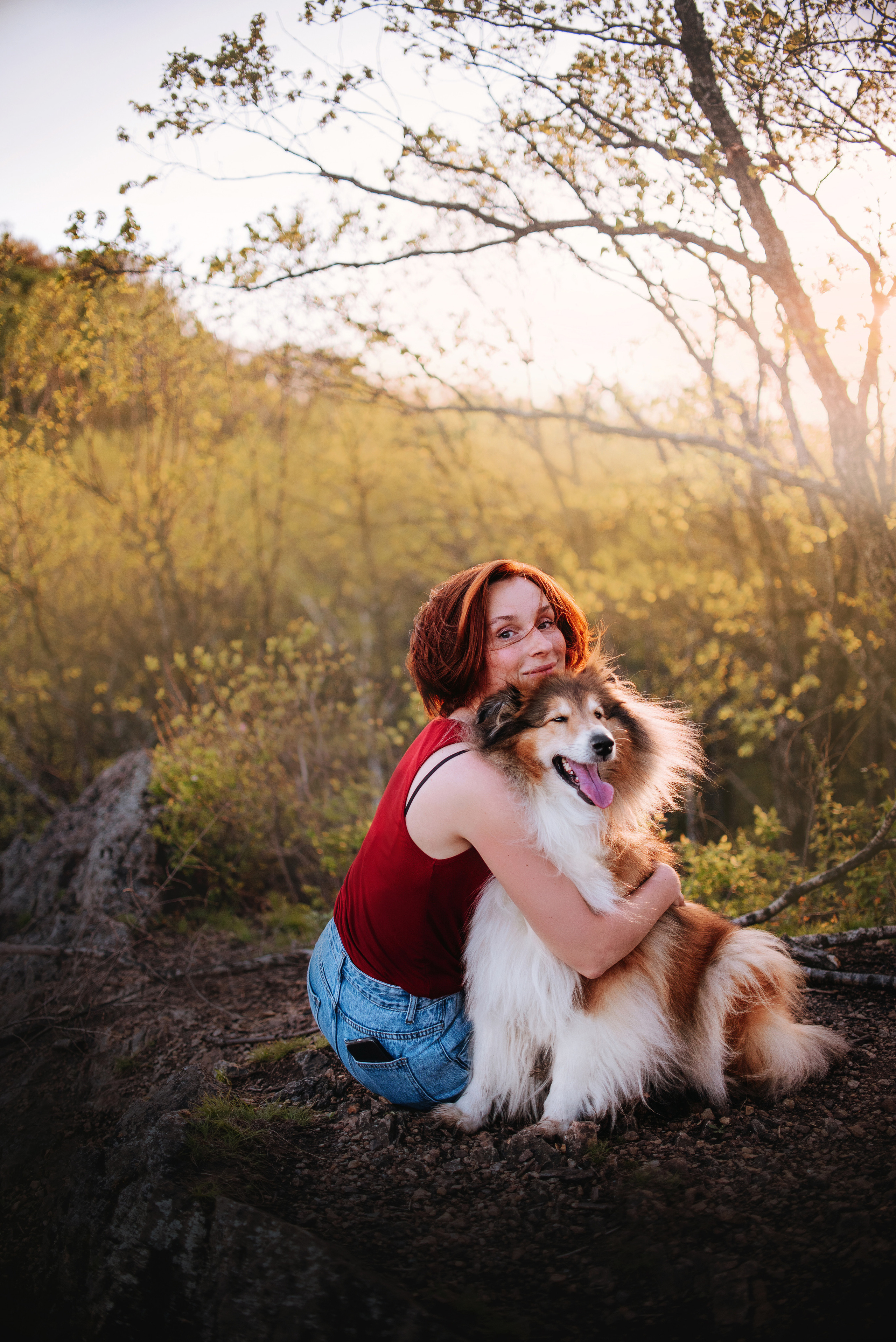 Колли Айра и Настя. Портфолио