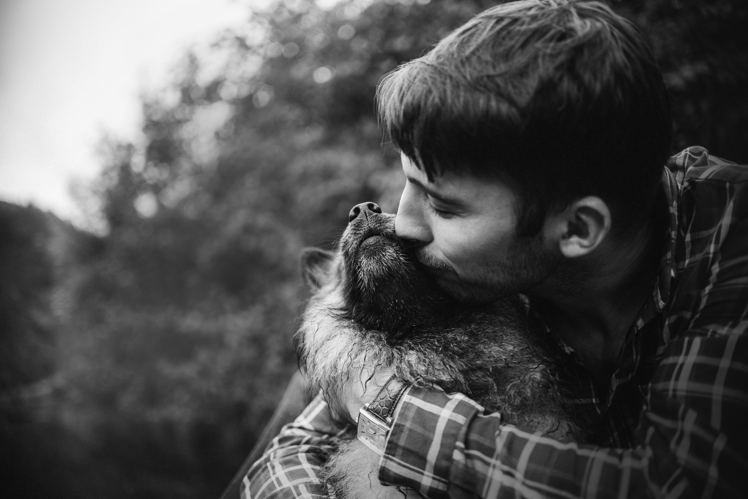 Амут: кеесхонд Верона, малинуа Бэрри, Юля и Леша. Портфолио