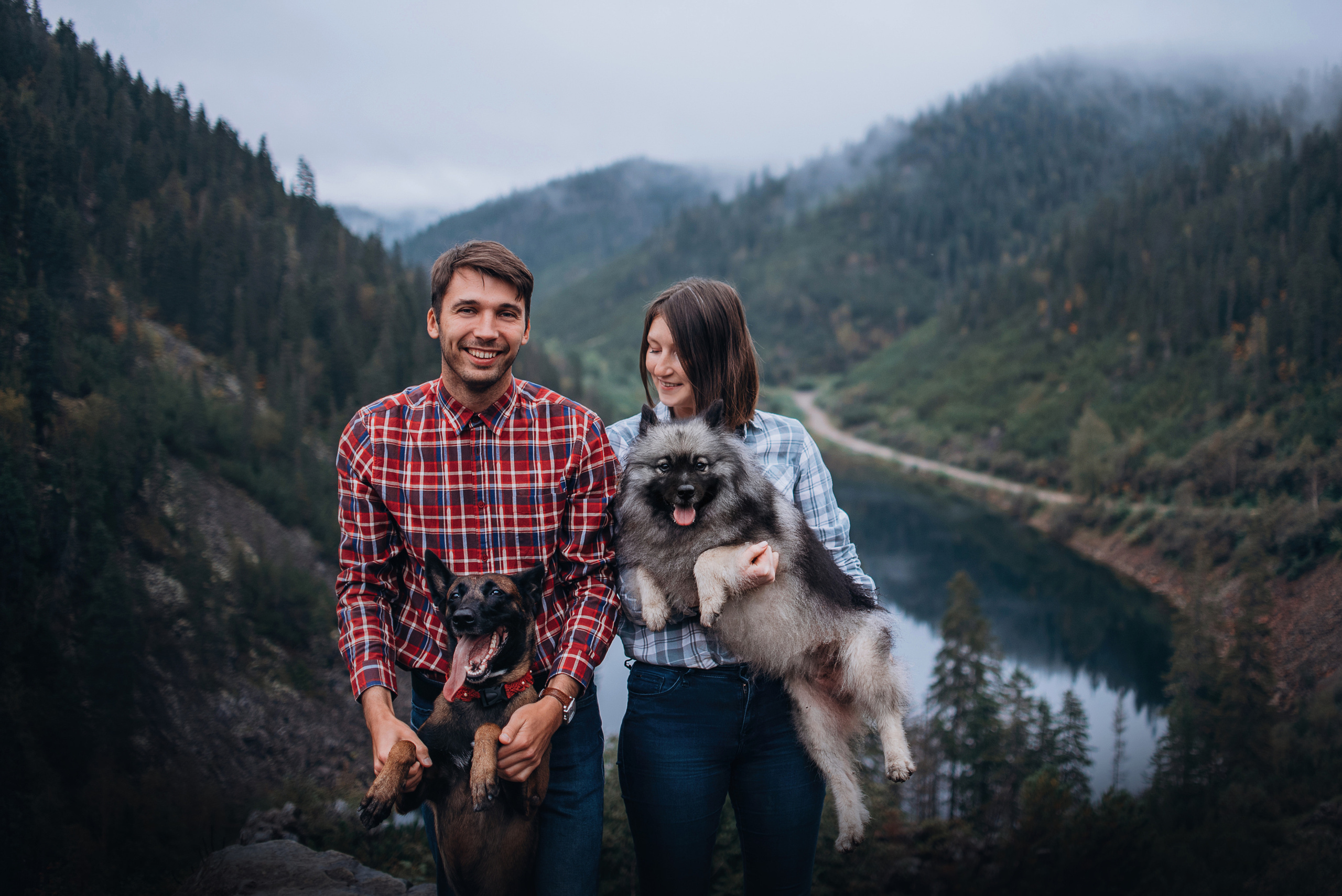 Амут: кеесхонд Верона, малинуа Бэрри, Юля и Леша. Портфолио