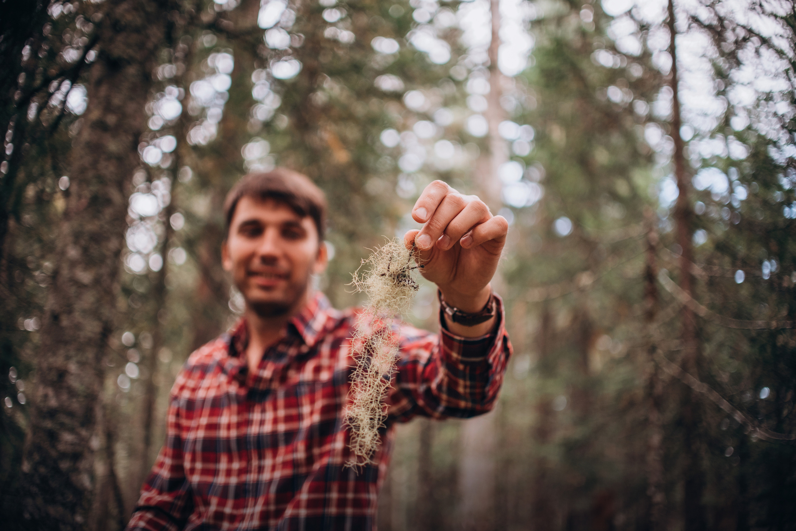 Амут: кеесхонд Верона, малинуа Бэрри, Юля и Леша. Портфолио