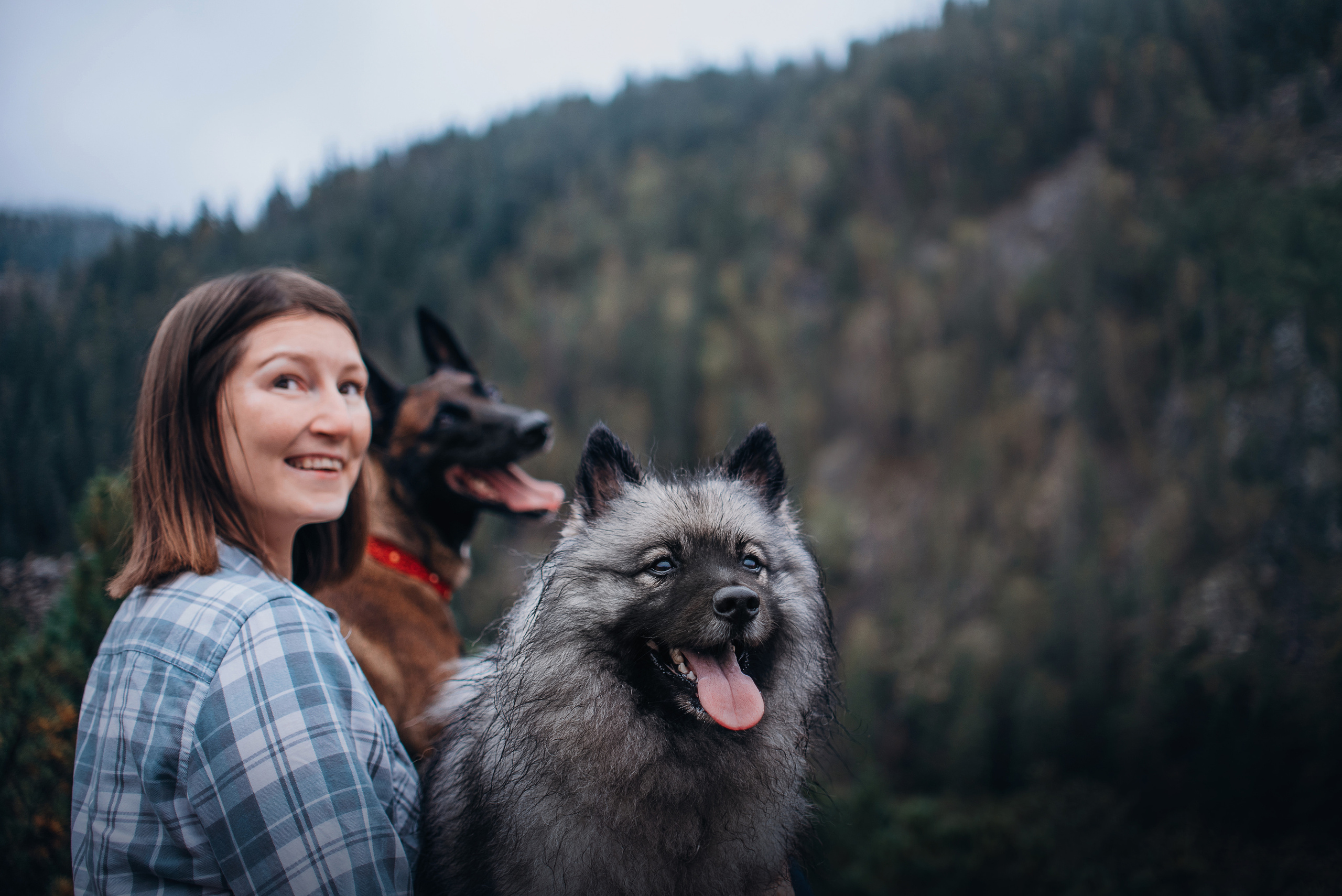 Амут: кеесхонд Верона, малинуа Бэрри, Юля и Леша. Портфолио