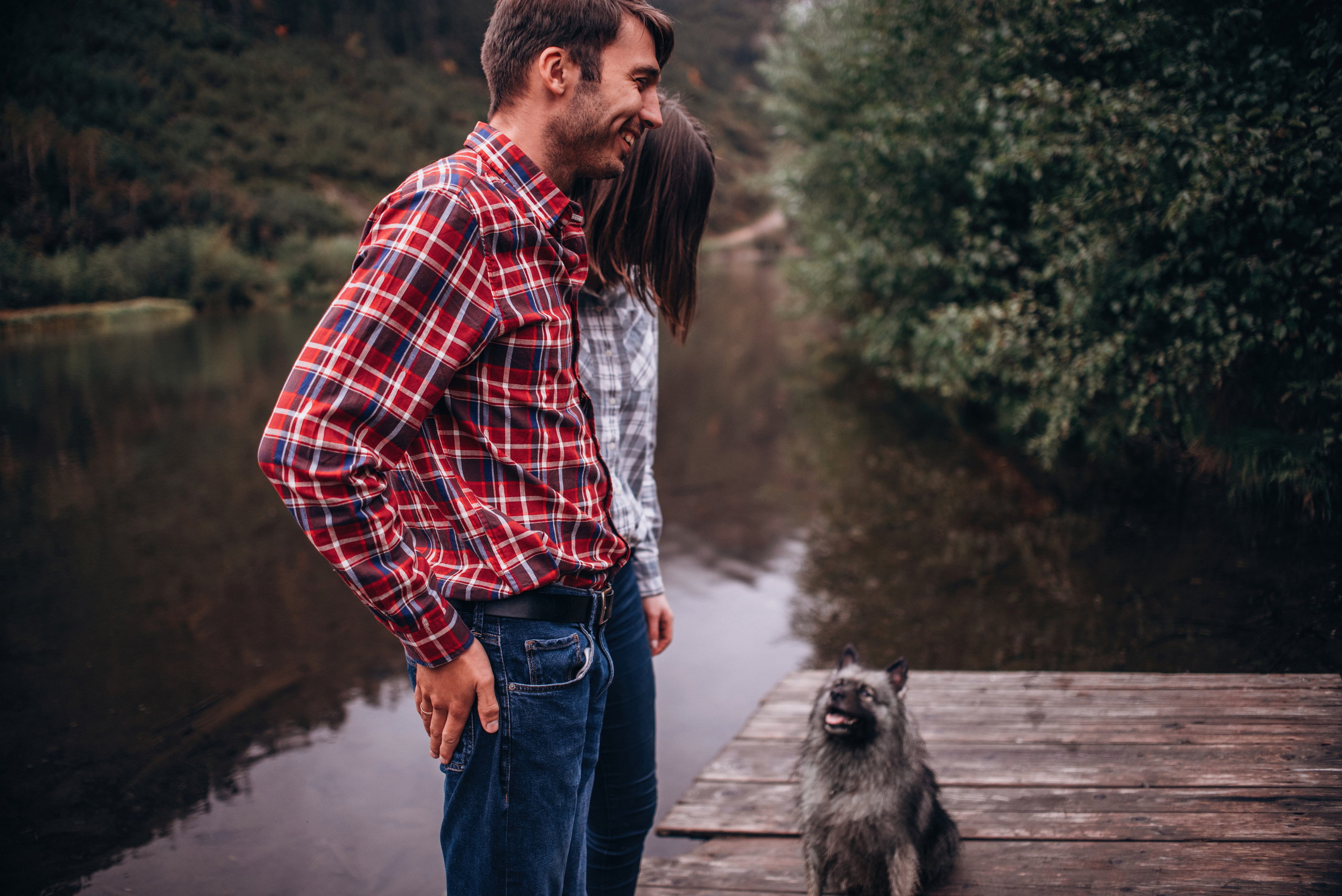 Амут: кеесхонд Верона, малинуа Бэрри, Юля и Леша. Портфолио