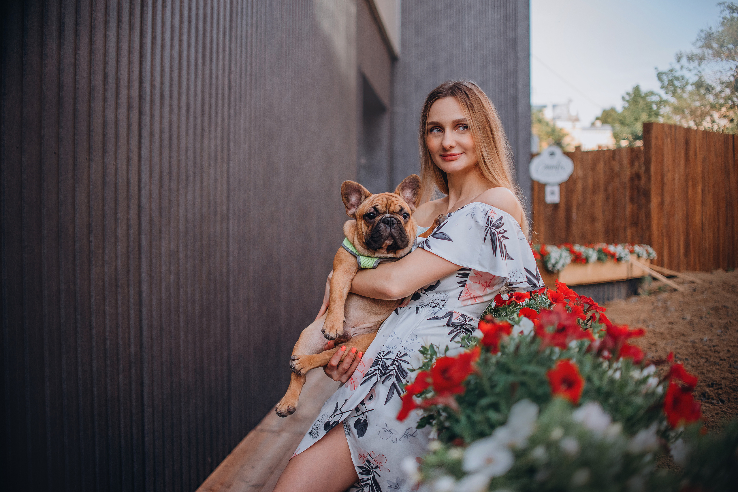 Рассвет в городе: французские бульдоги Лео и Фрэнк и Алена. Портфолио
