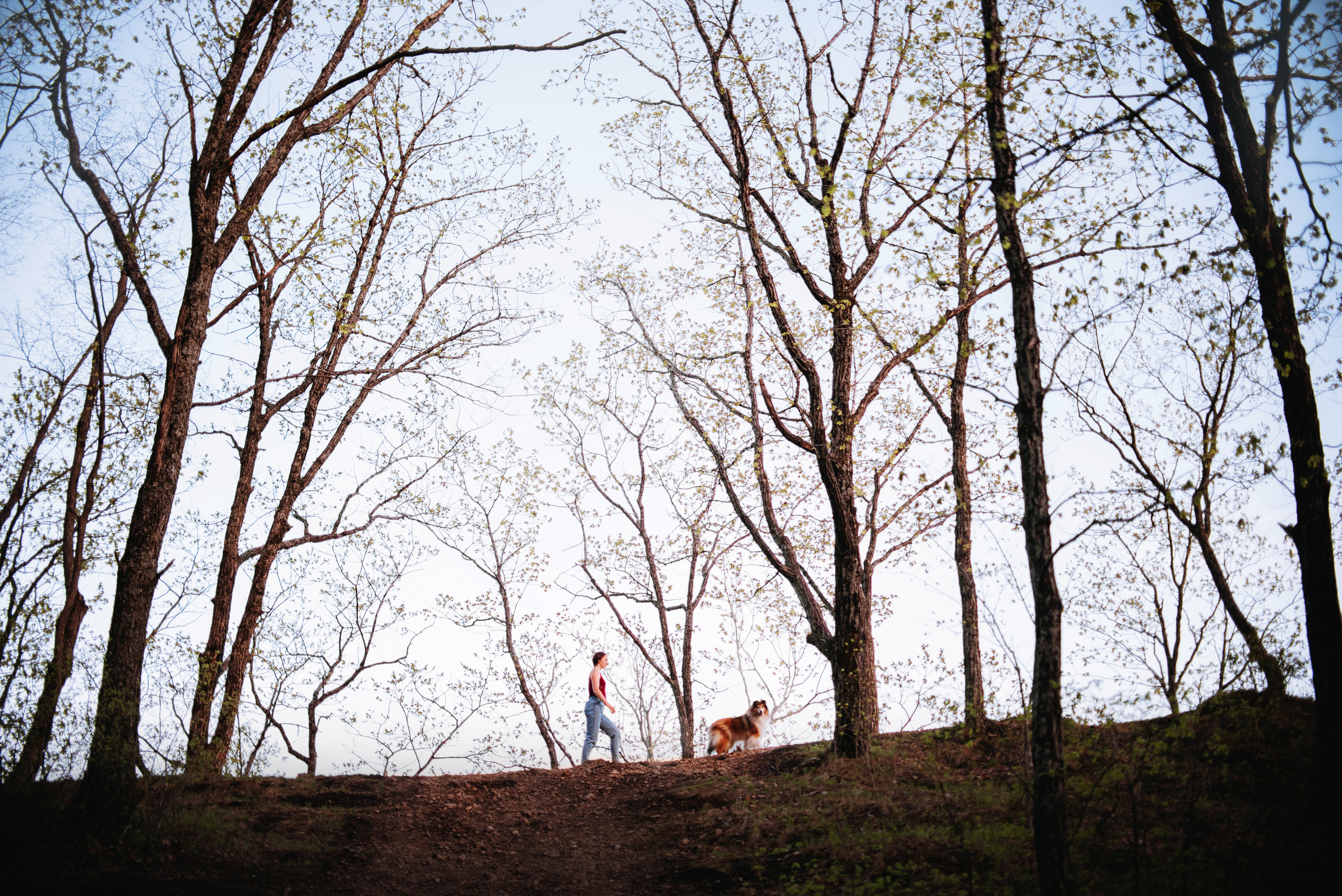 Колли Айра и Настя. Портфолио