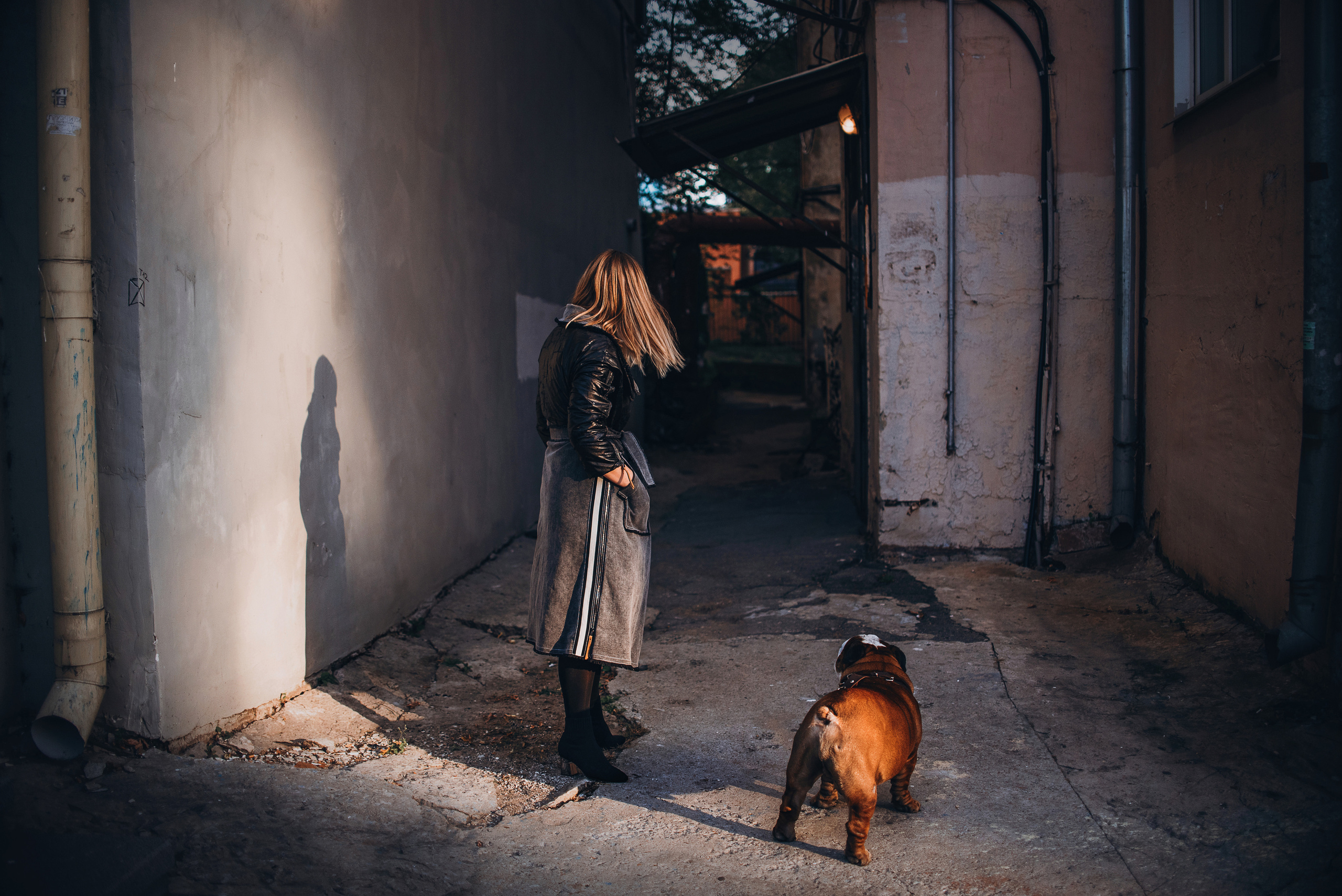 Рассвет в городе: бульдог Роберт и Юля. Портфолио