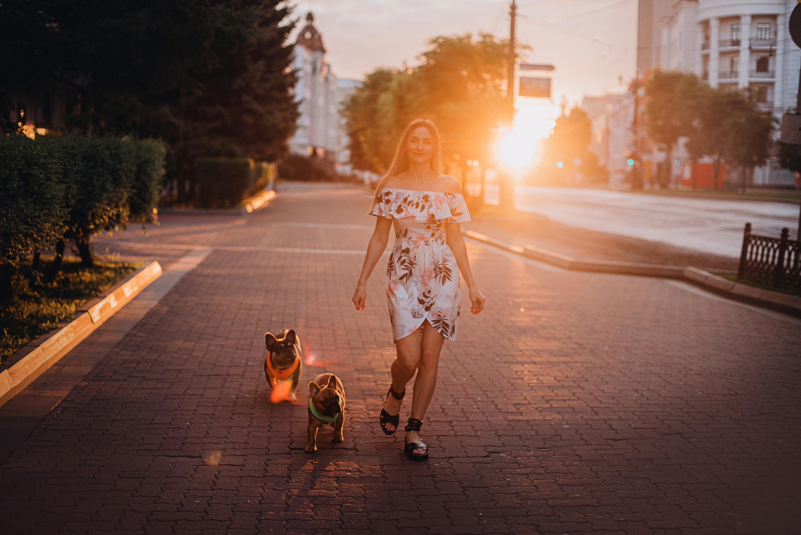 Рассвет в городе: французские бульдоги Лео и Фрэнк и Алена. Портфолио