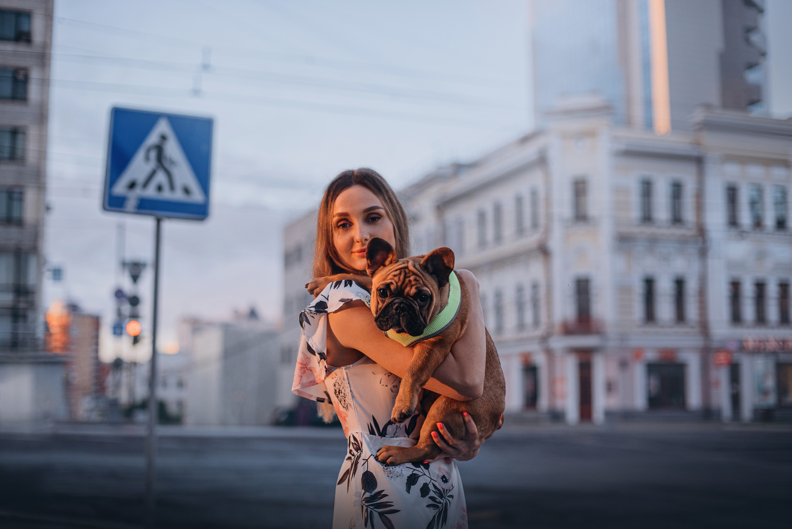 Рассвет в городе: французские бульдоги Лео и Фрэнк и Алена. Портфолио