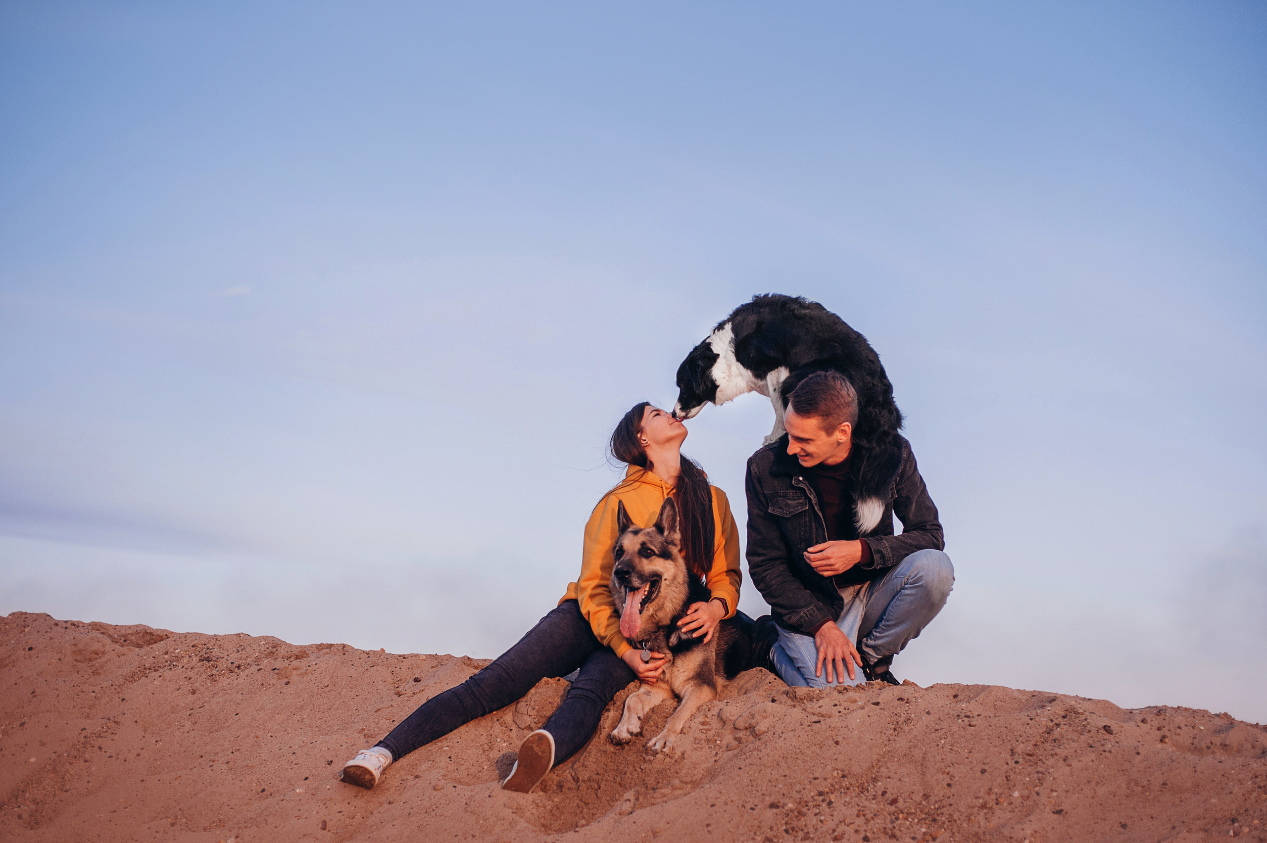 Бордер-колли Юппи, овчар Тайфун, Наташа и Дима. Портфолио