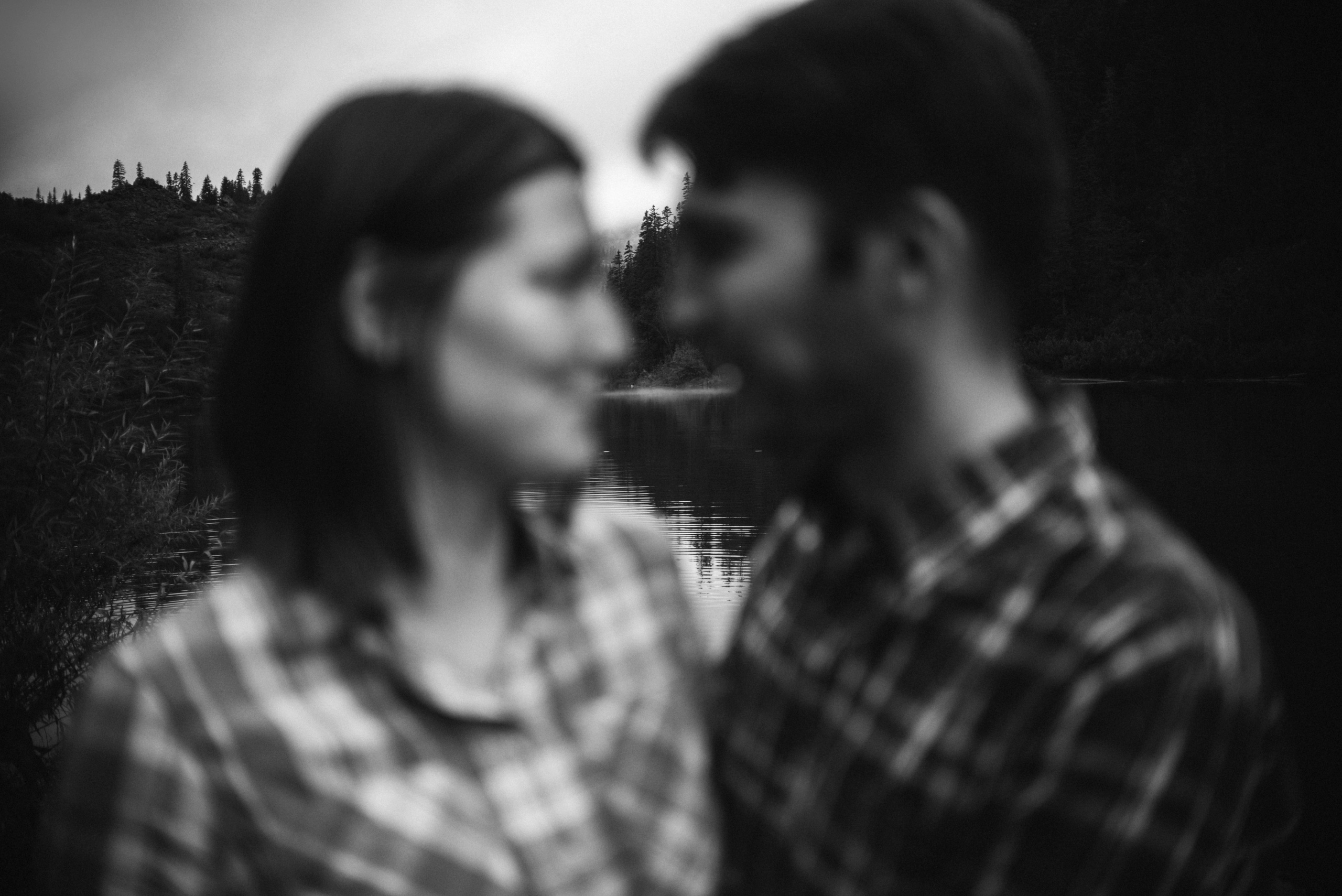 Амут: кеесхонд Верона, малинуа Бэрри, Юля и Леша. Портфолио