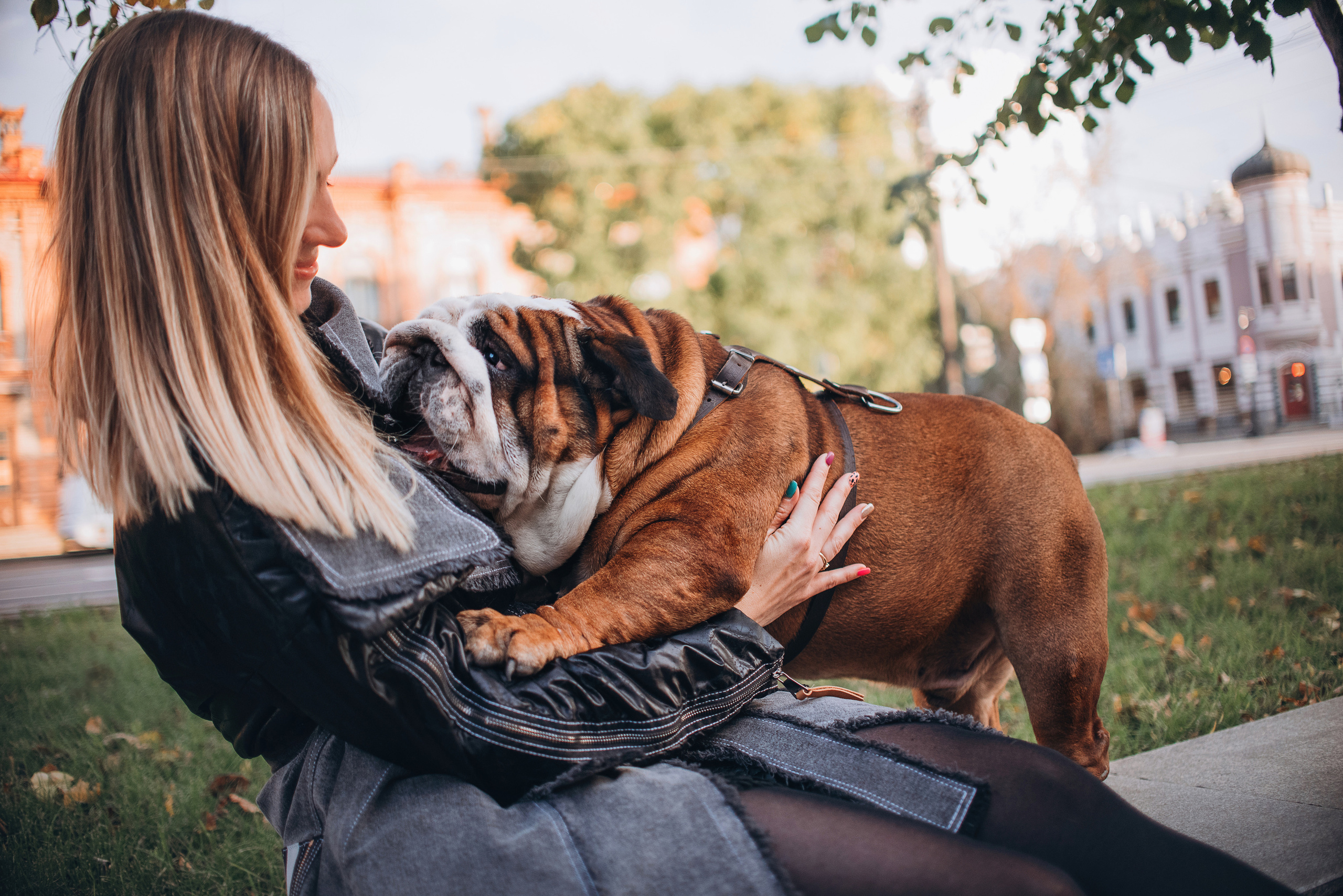 Рассвет в городе: бульдог Роберт и Юля. Портфолио