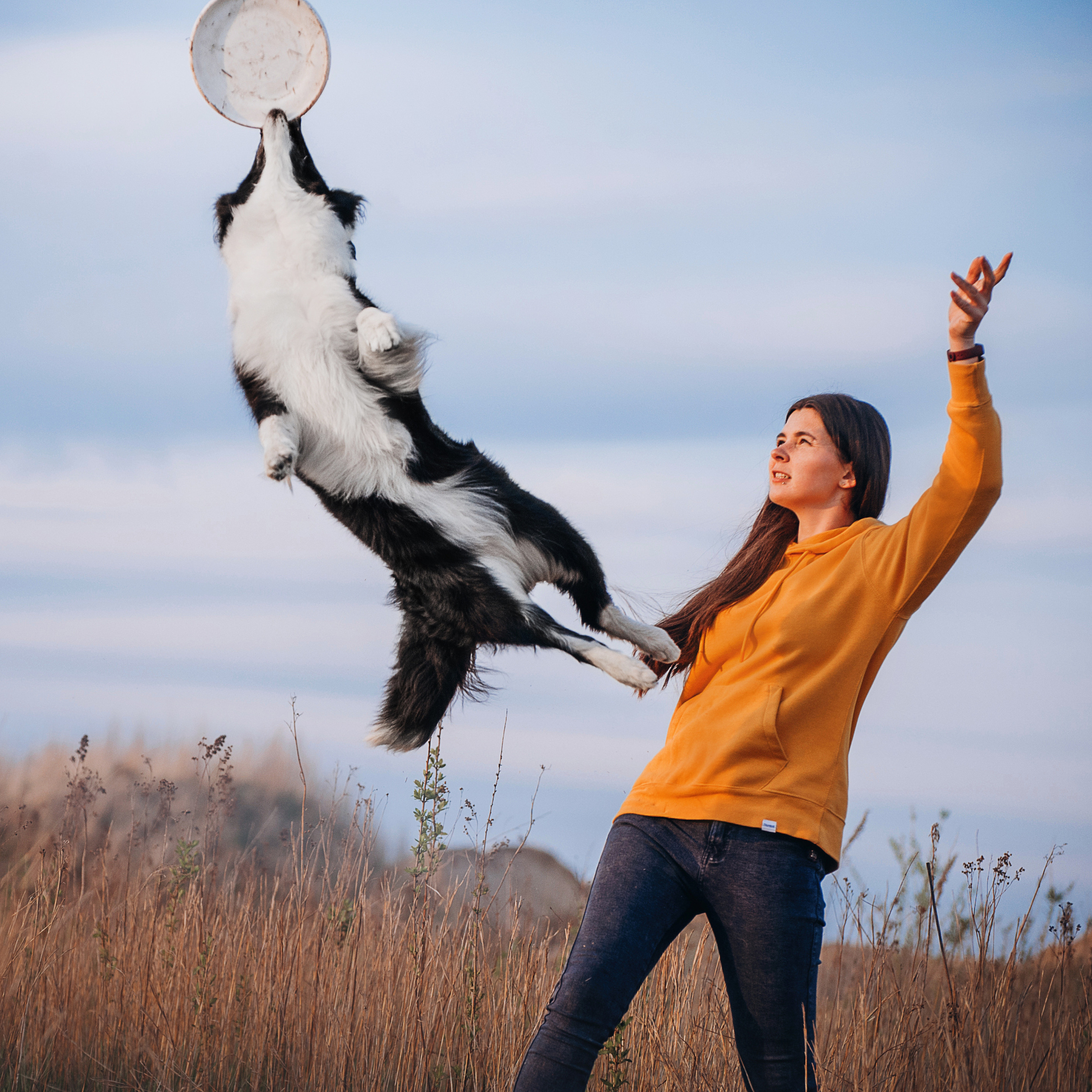 Бордер-колли Юппи, овчар Тайфун, Наташа и Дима. Портфолио