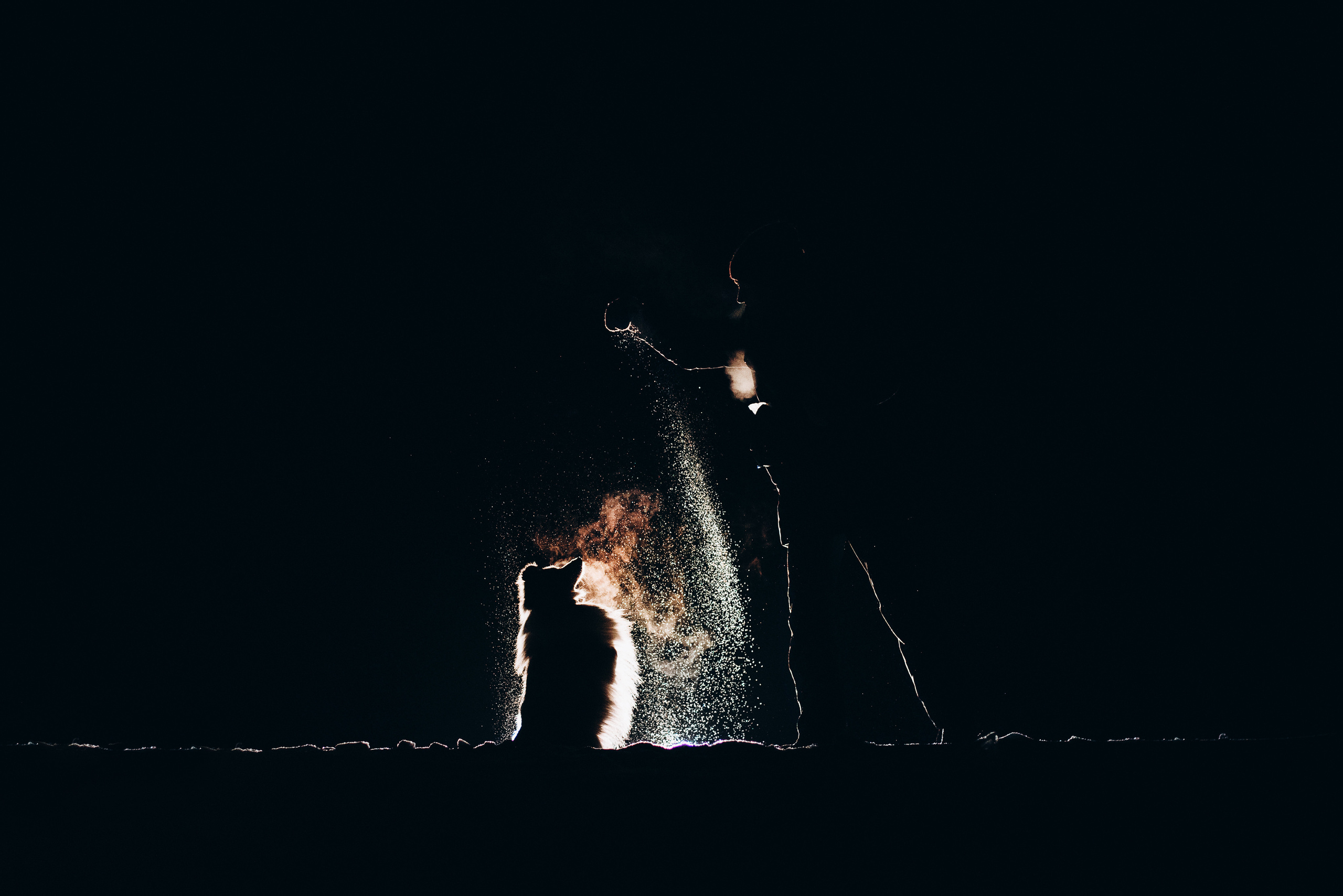 Шелти Расс. Портфолио