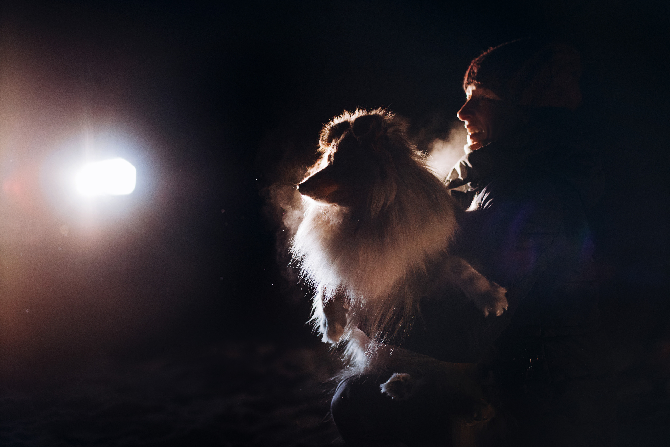 Шелти Расс. Портфолио